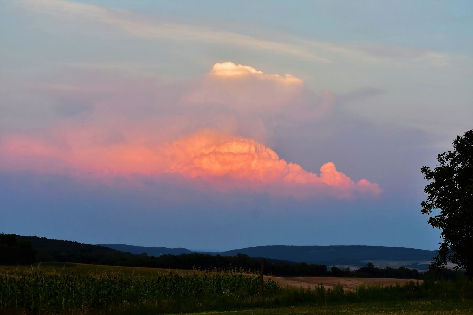 Nikon D7200 sample photo. Cloud, landscape, sky photography