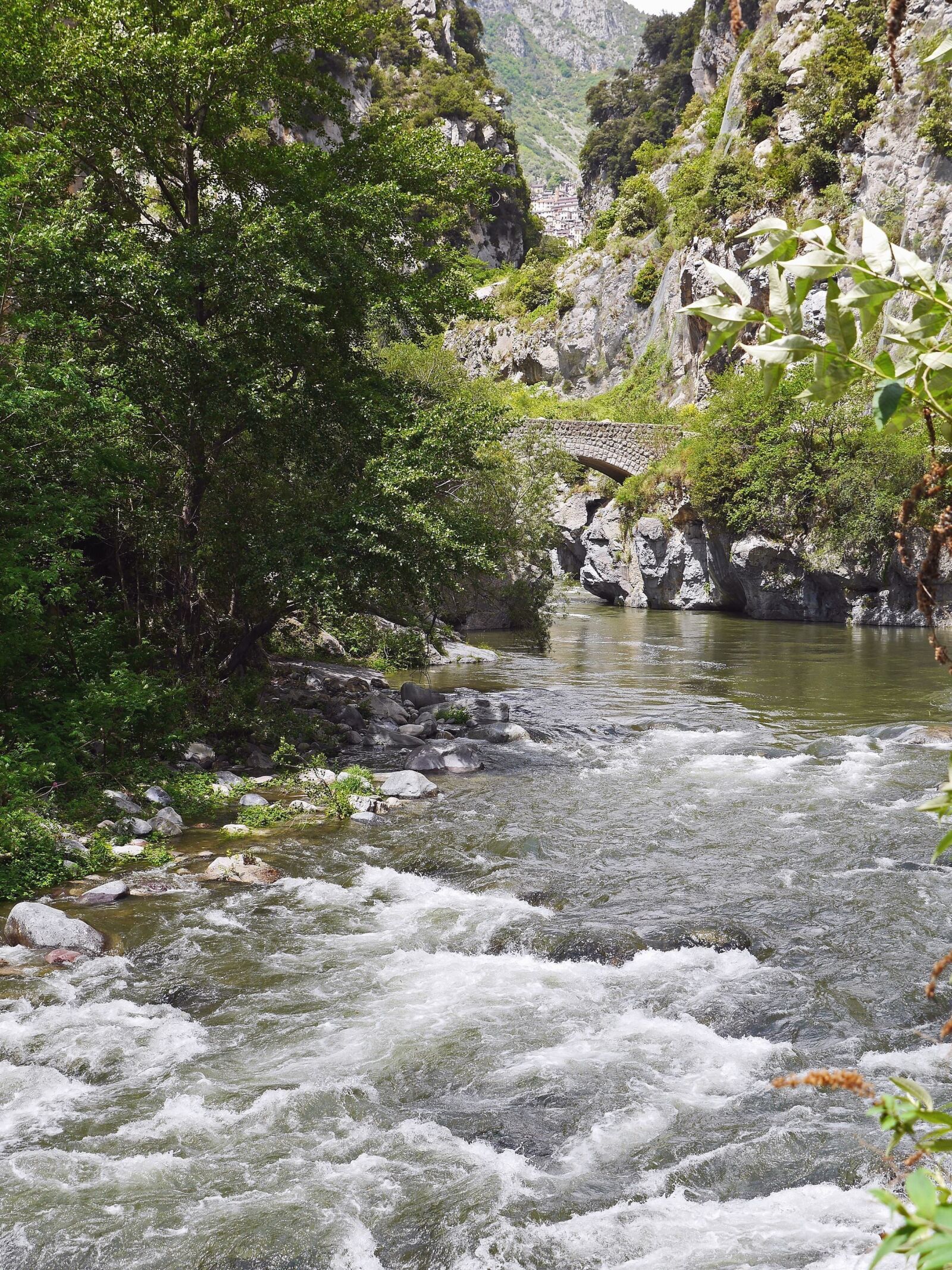 Panasonic Lumix DMC-GH3 sample photo. Forest, river, water, mountain photography
