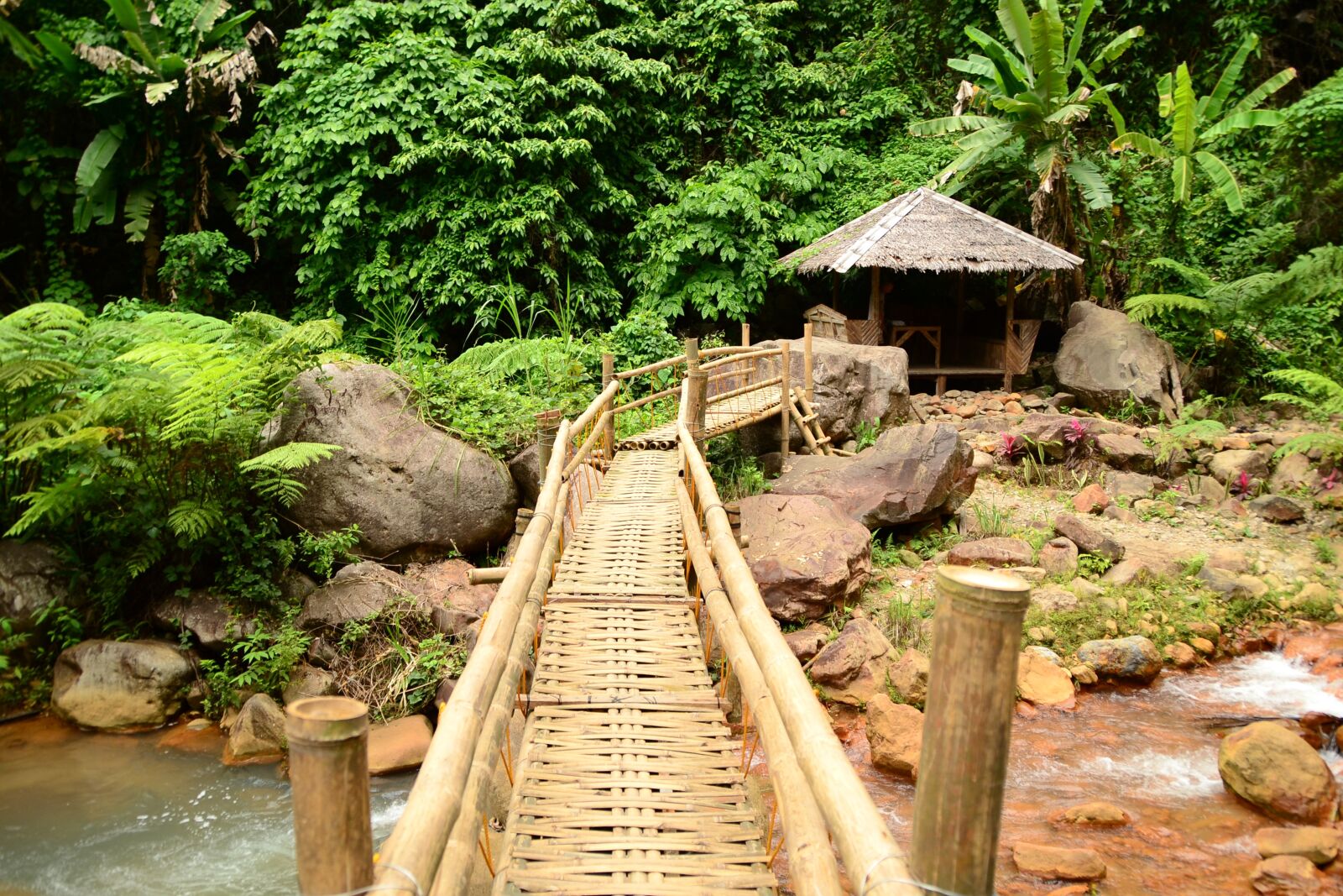 Nikon D3100 sample photo. Bridge, bamboo, crossing photography