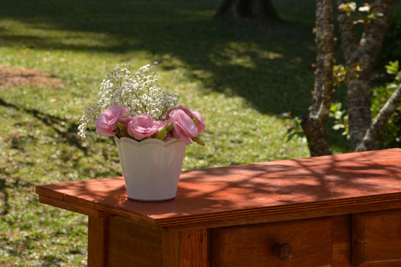 Nikon D7100 sample photo. Wood, nature, garden photography