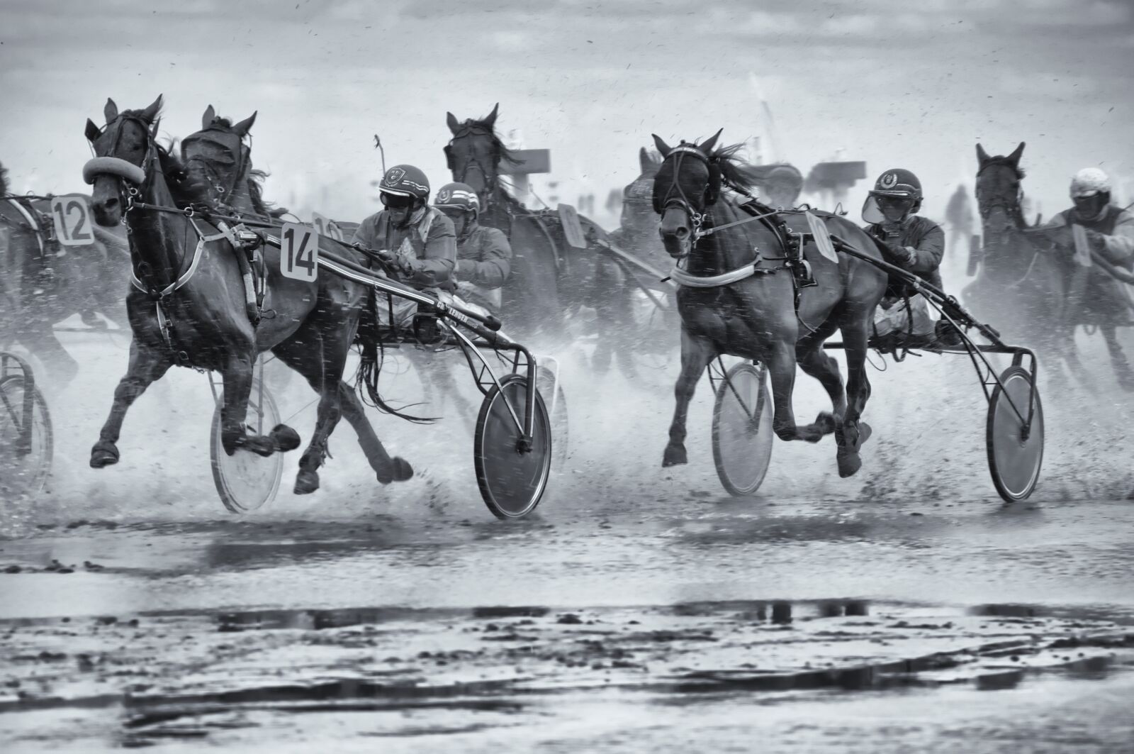 Nikon D300S sample photo. Horses, watts, watts race photography