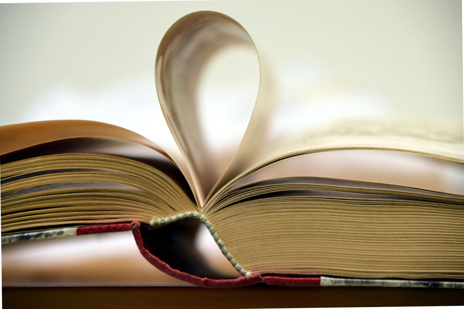 Nikon D3300 sample photo. Book, pitched, open book photography