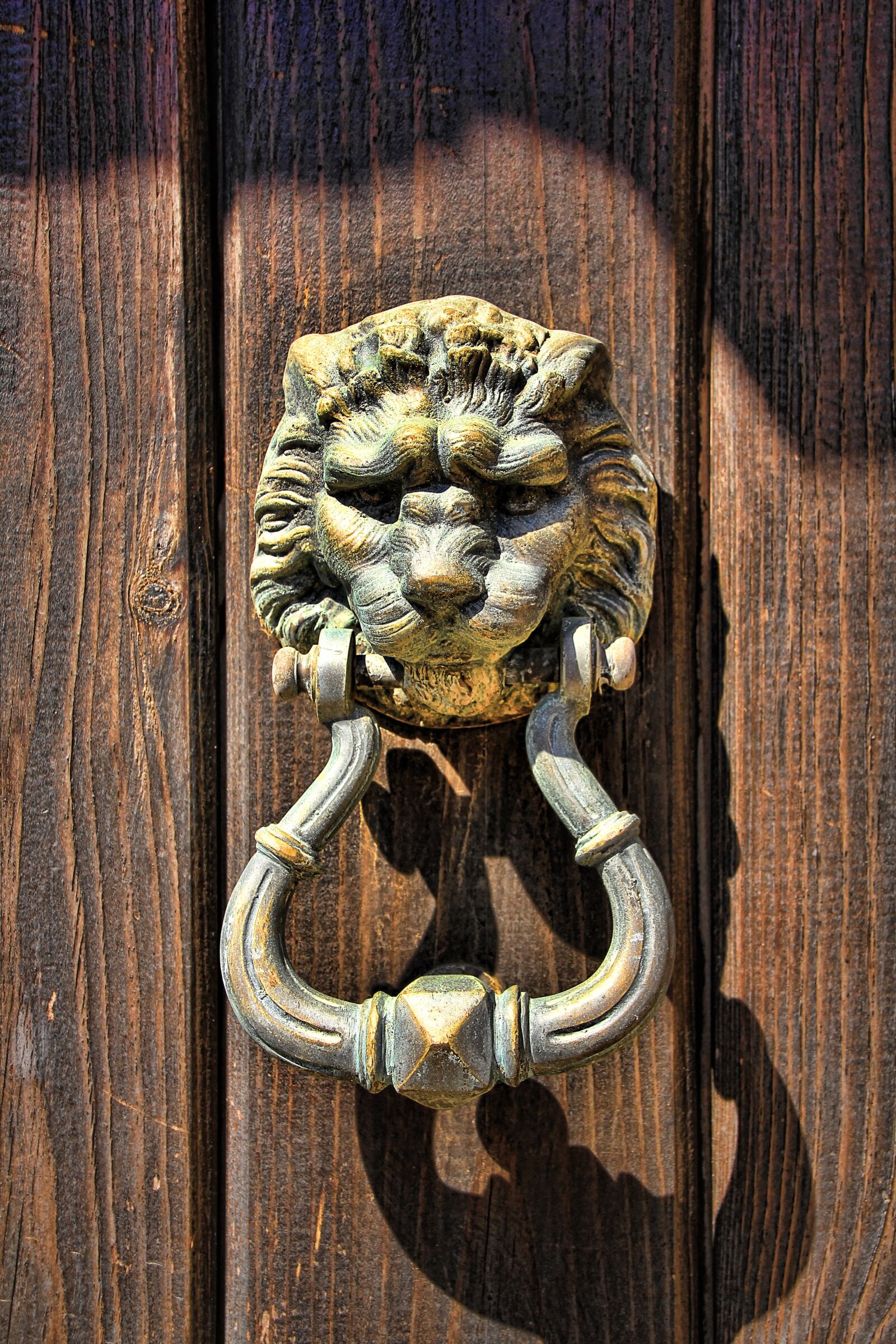 Canon EOS 550D (EOS Rebel T2i / EOS Kiss X4) sample photo. Doorknocker, lion head, door photography