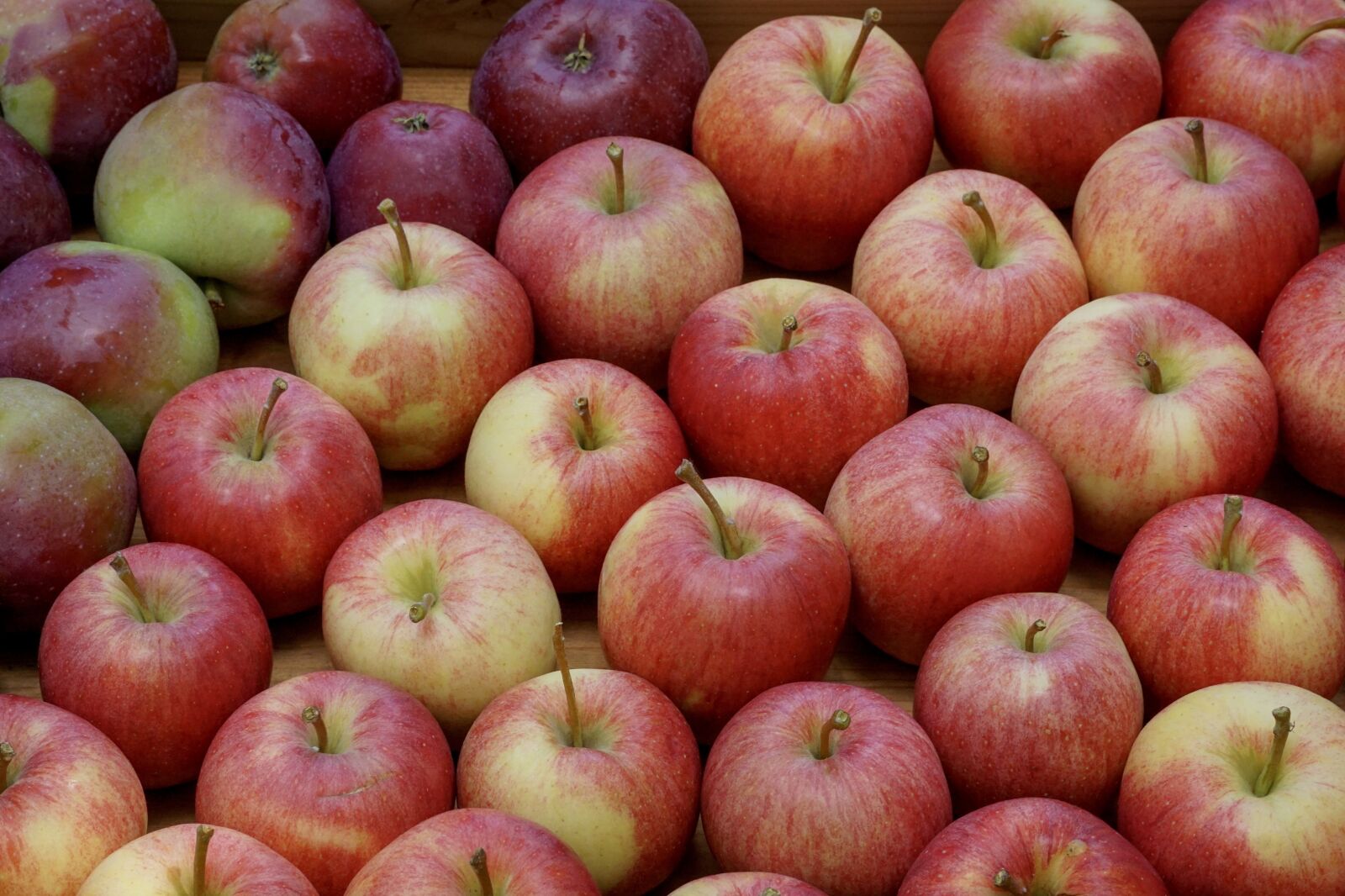 Sony DT 55-300mm F4.5-5.6 SAM sample photo. Apple, fruits, fruit photography