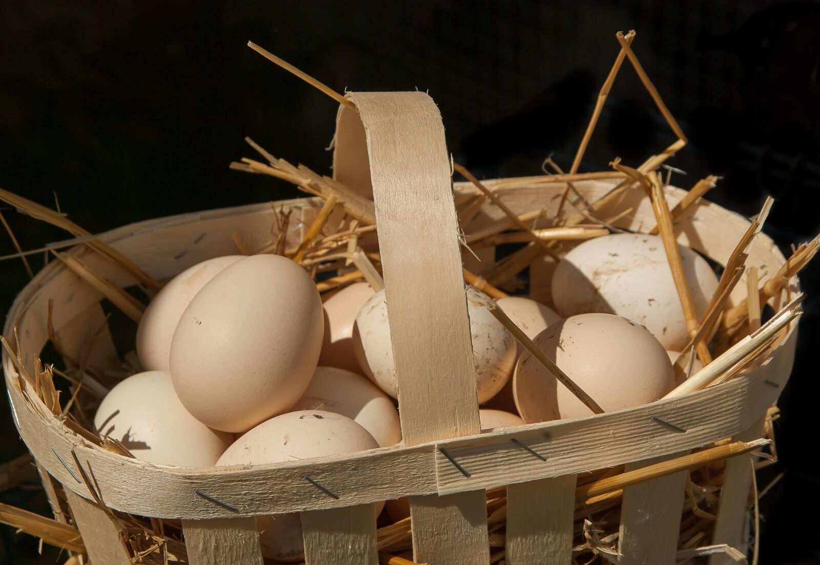 Pentax K10D sample photo. Eggs, basket, straw photography