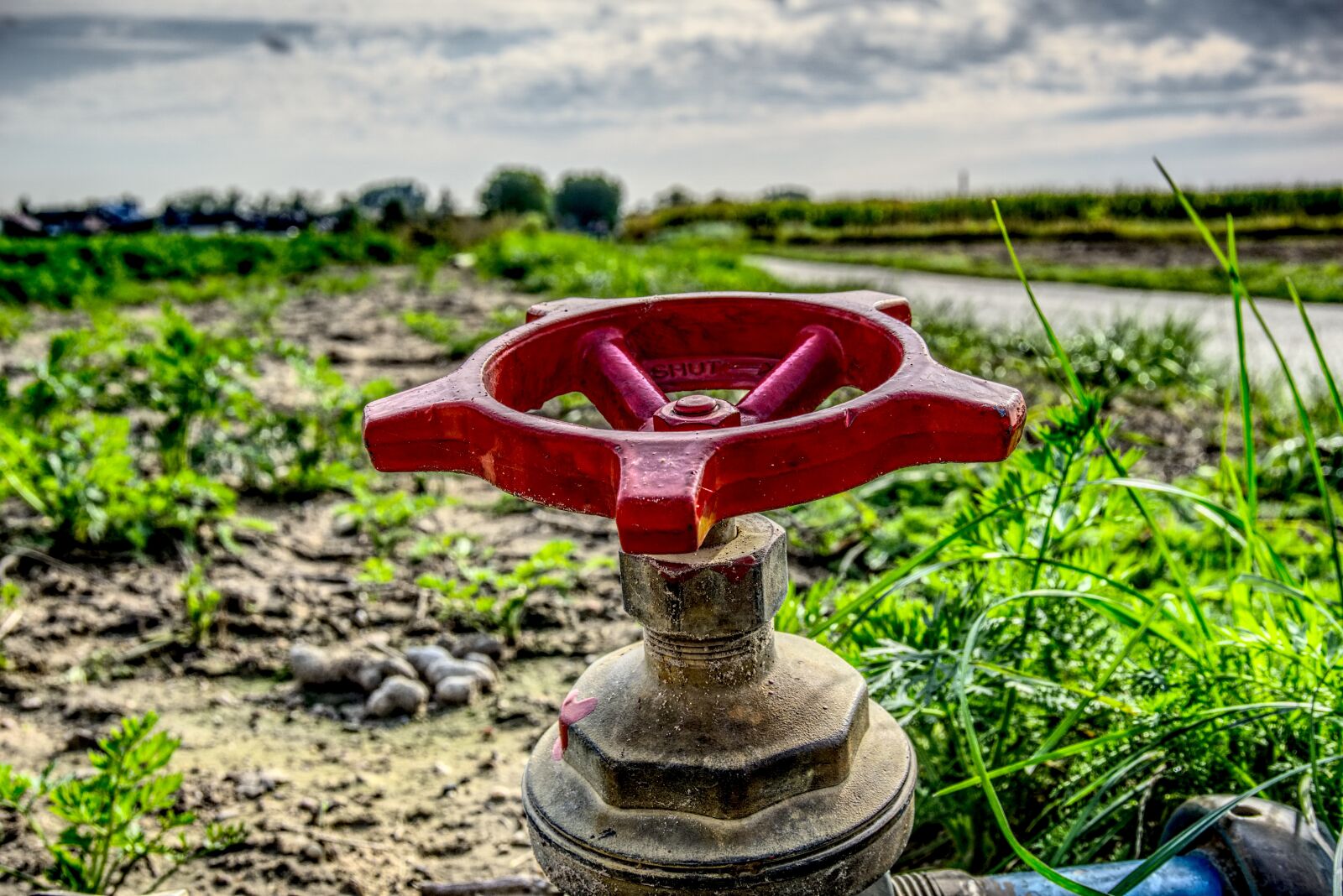 Sony a6000 sample photo. Valve, faucet, irrigation photography
