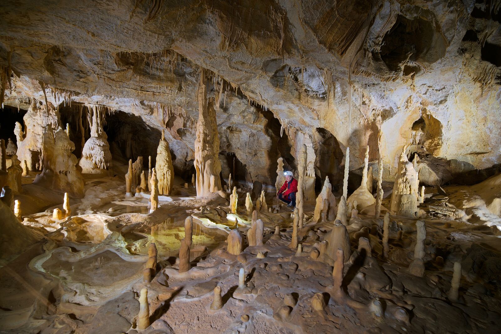 Nikon D750 sample photo. Potholing, room, stalactites photography