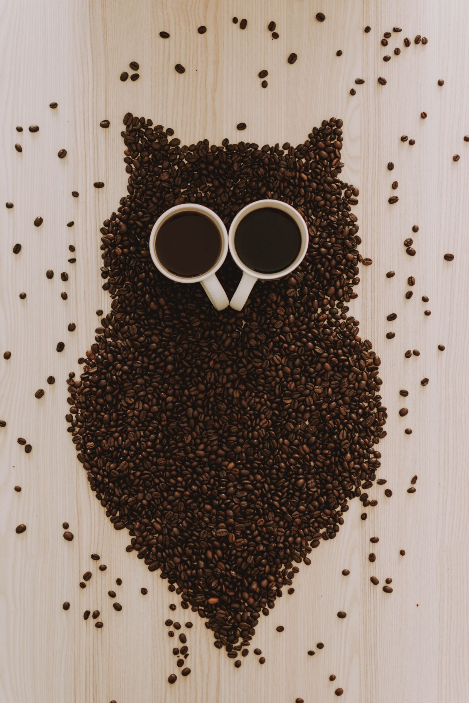Nikon D5200 sample photo. Coffee, owl, coffee beans photography