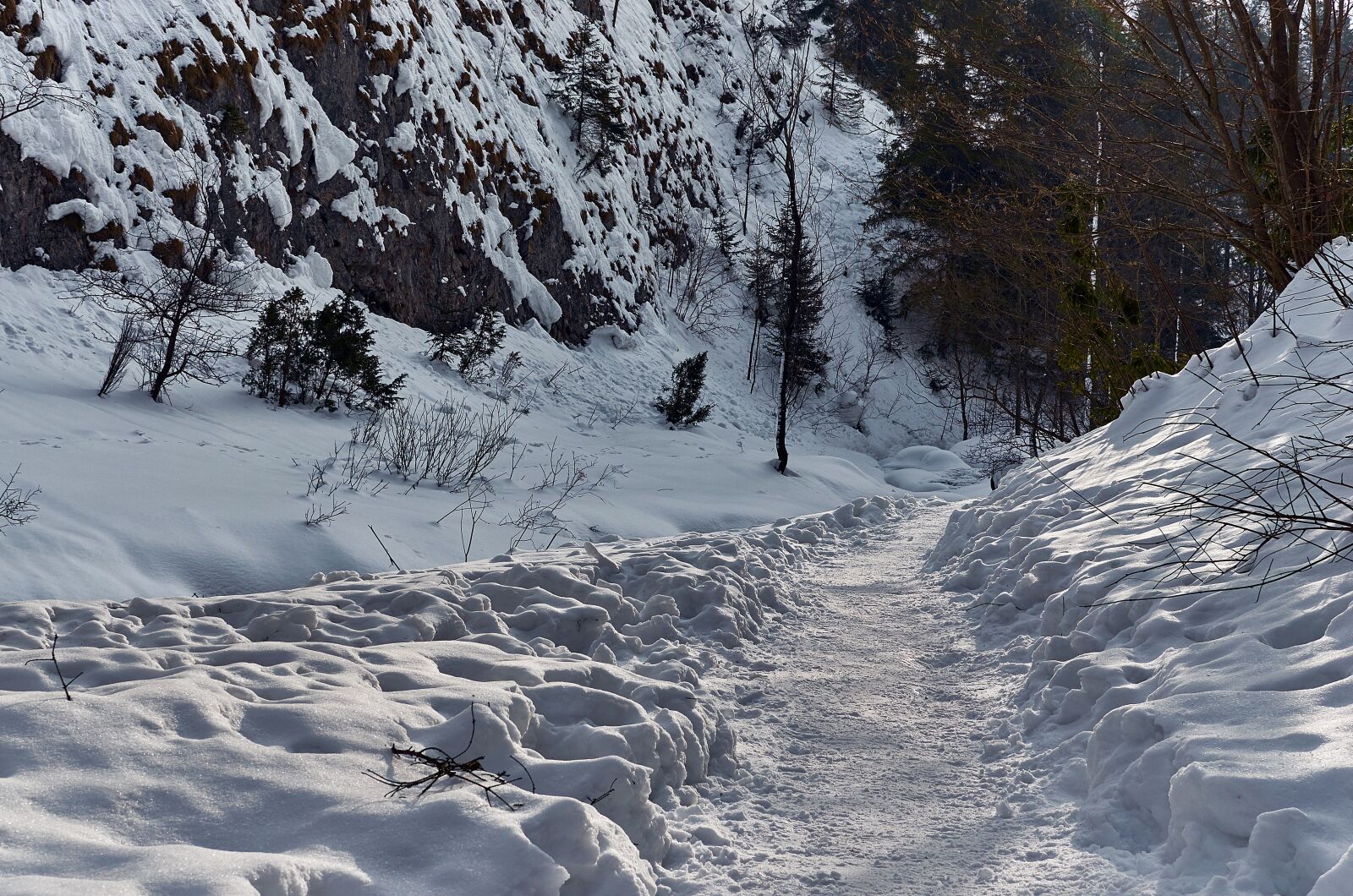Nikon AF-S DX Nikkor 35mm F1.8G sample photo. Landscape, gorge, winter photography