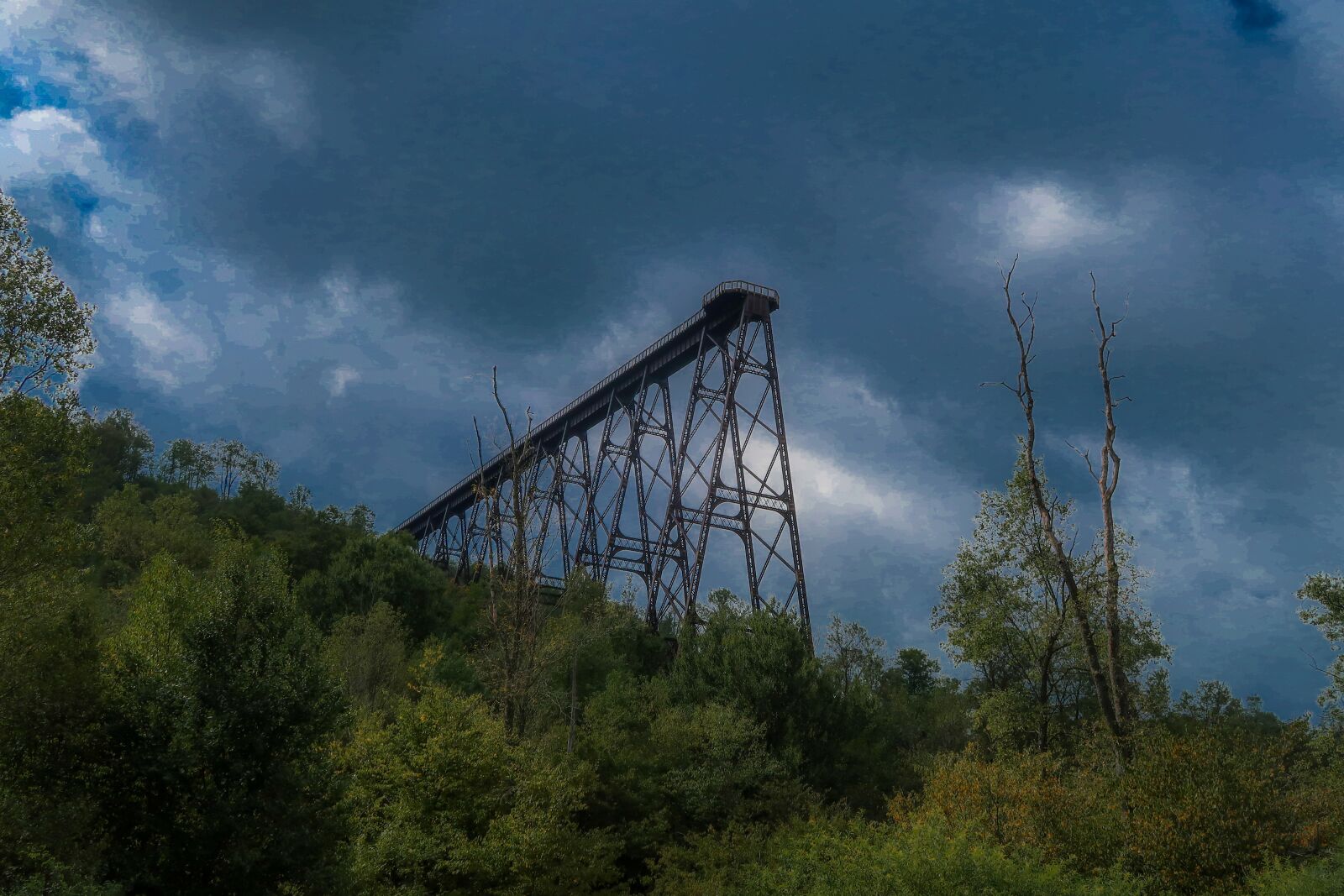 Canon PowerShot G7 X Mark II sample photo. Railway bridge, forest, usa photography