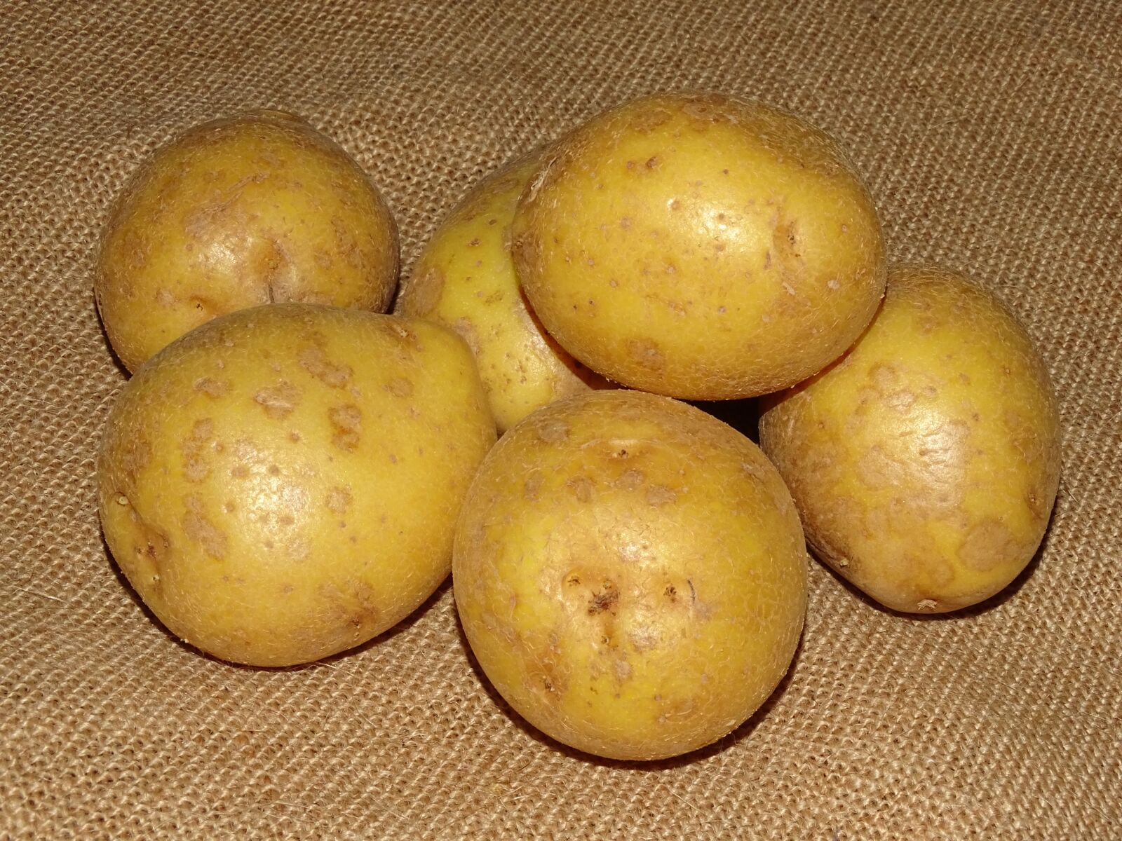 Sony Cyber-shot DSC-HX400V sample photo. Potato, potatoes, earth apple photography