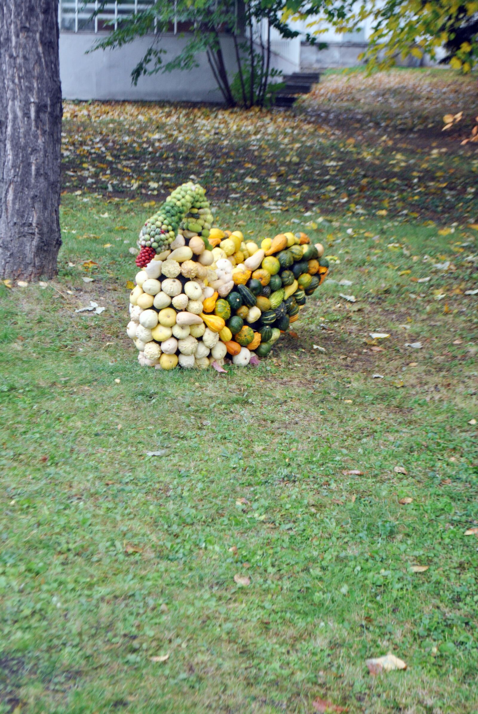 Nikon D3000 sample photo. Floral composition, garden, nature photography