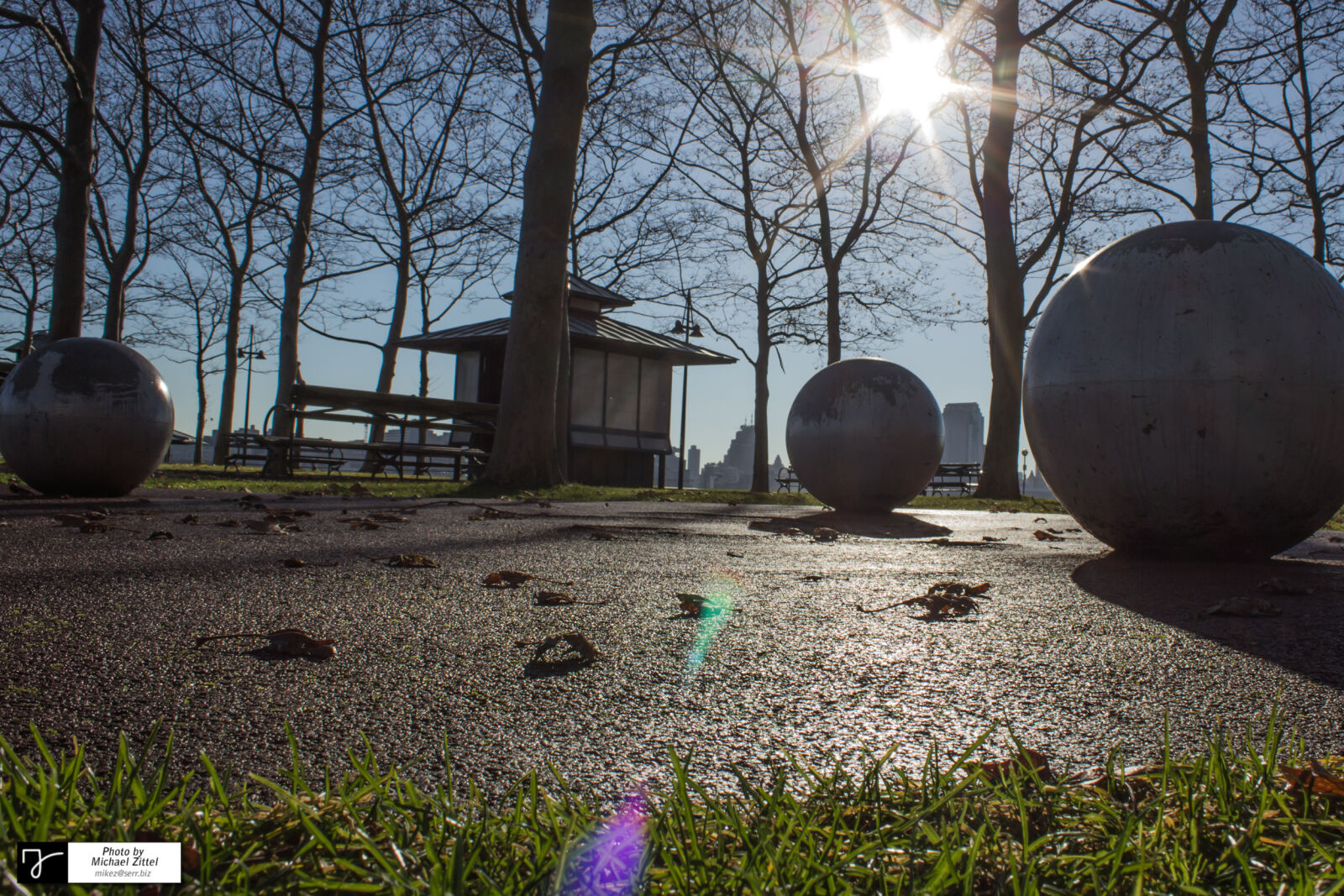 Canon EOS 600D (Rebel EOS T3i / EOS Kiss X5) sample photo. Trees, against, sky photography