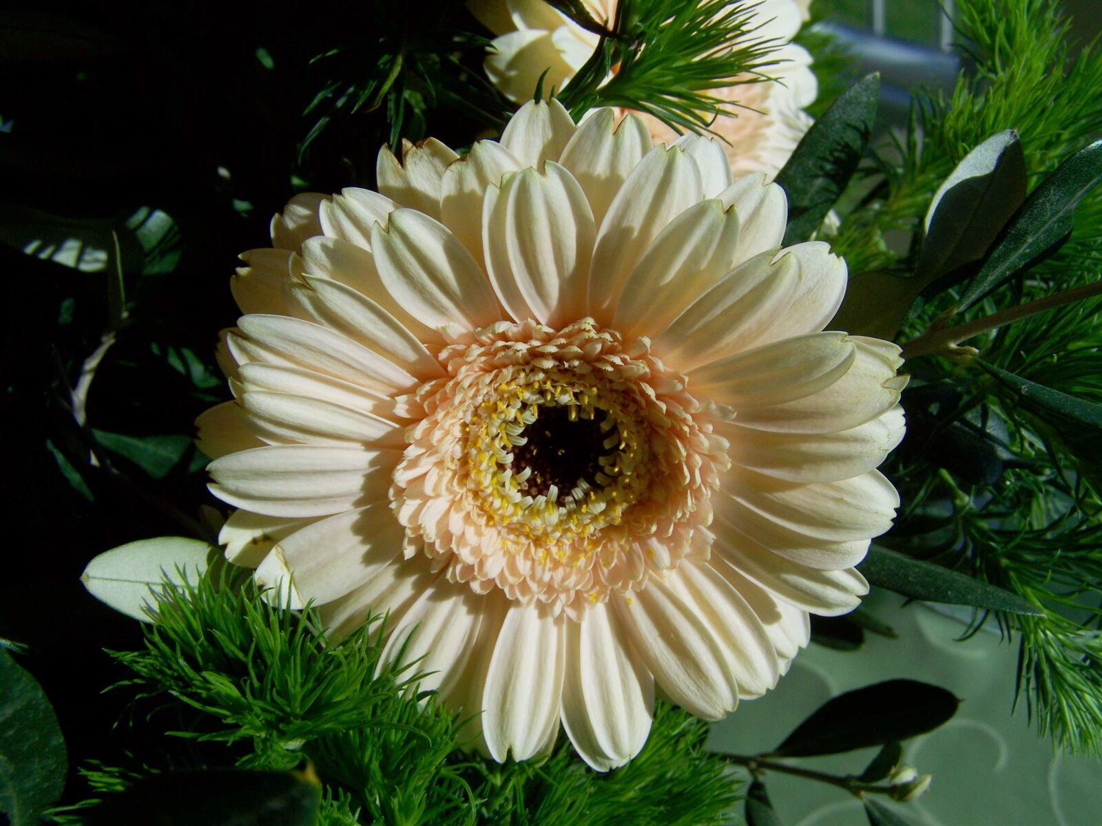 Kodak EASYSHARE ZD710 ZOOM DIGITAL CAMERA sample photo. Bunch of flowers, gerbera photography