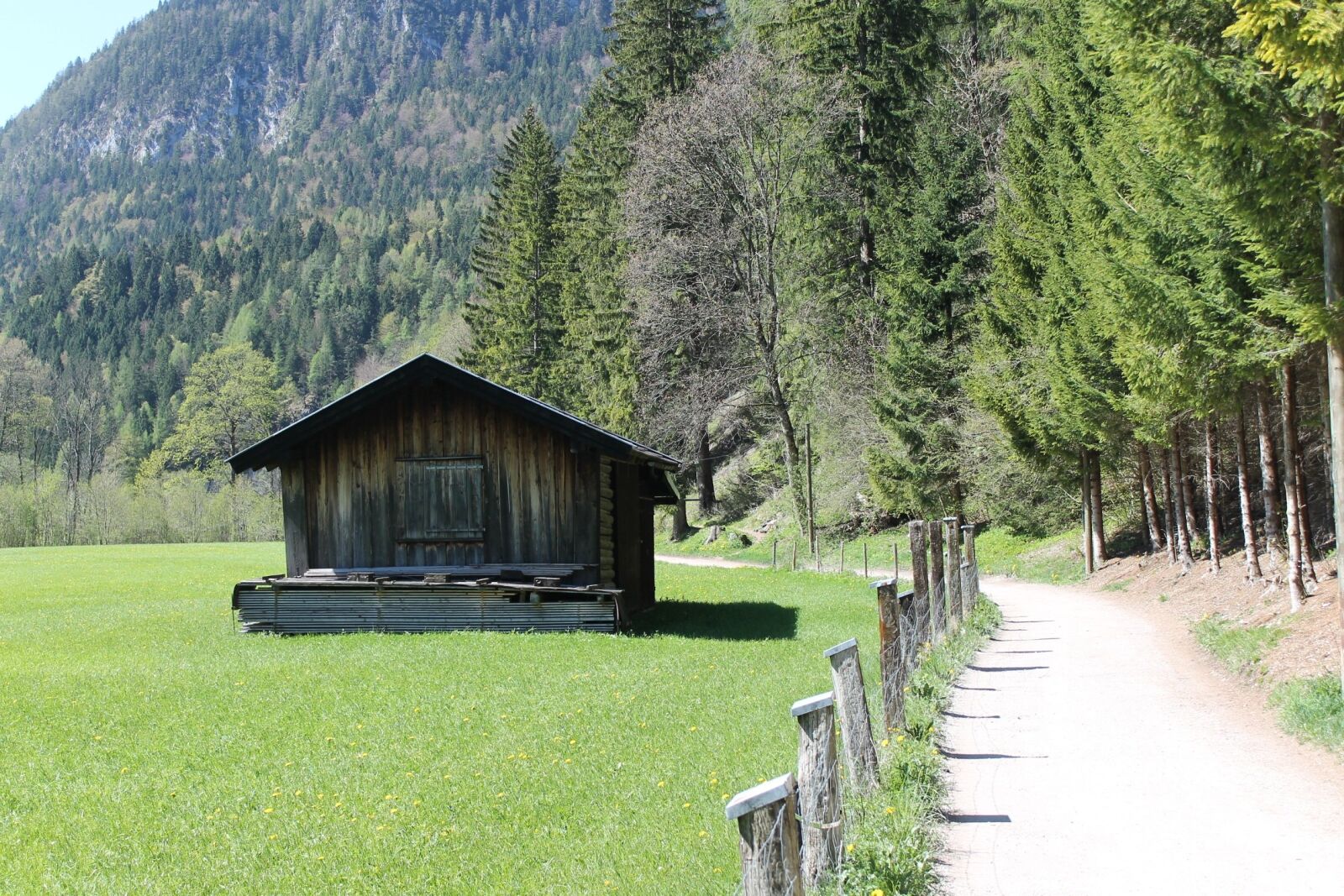 Canon EOS 1100D (EOS Rebel T3 / EOS Kiss X50) sample photo. Alm, meadow, mountains photography