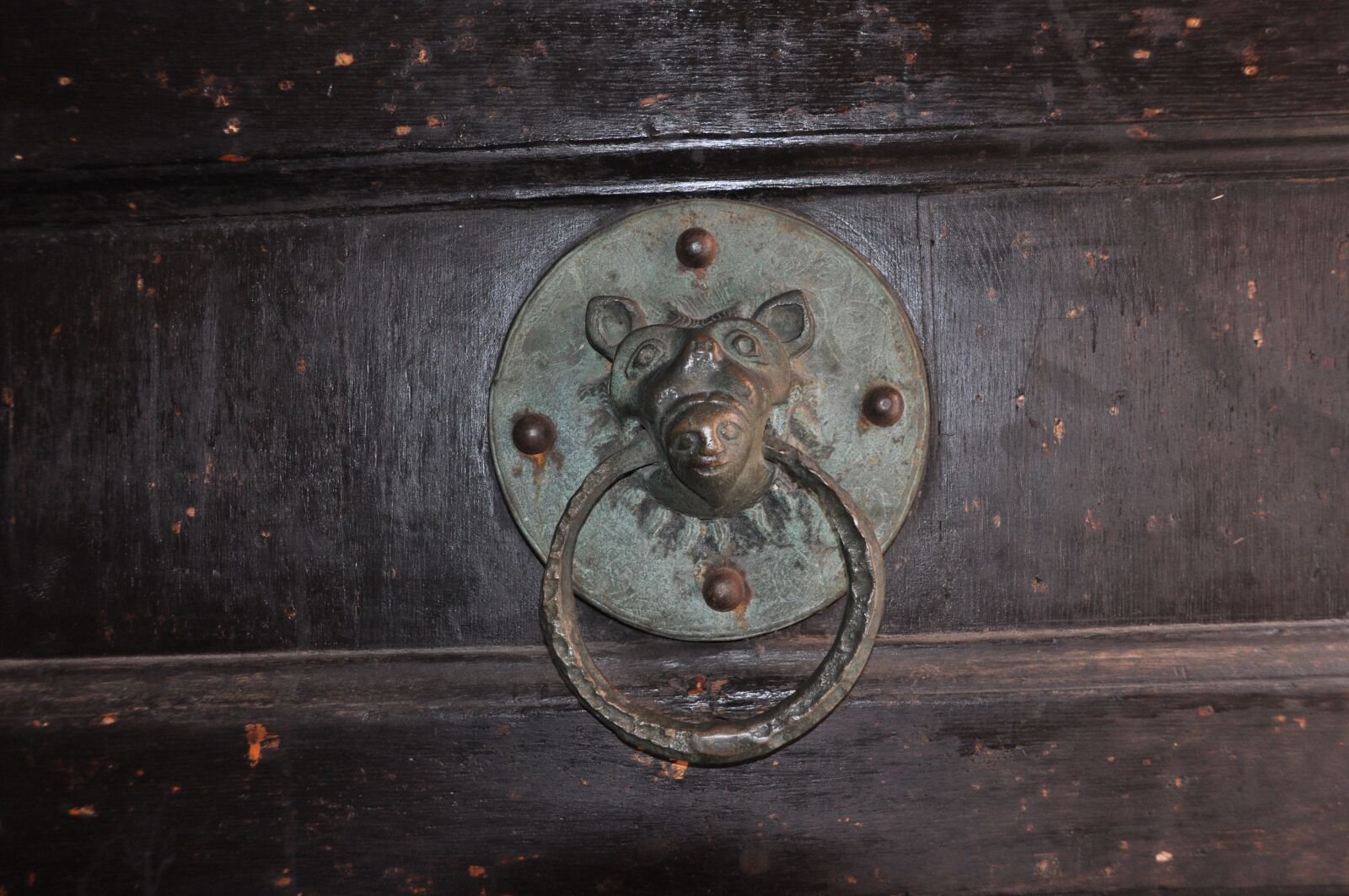 Nikon D5000 sample photo. Door knocker, old, metal photography
