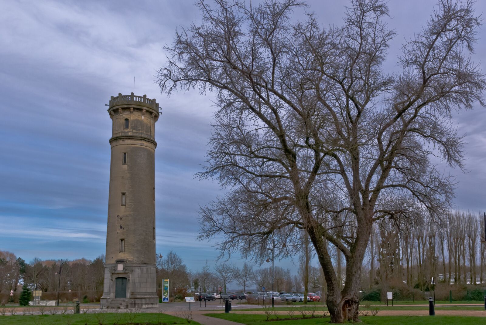 Nikon D80 sample photo. Tree, outdoor, tower photography