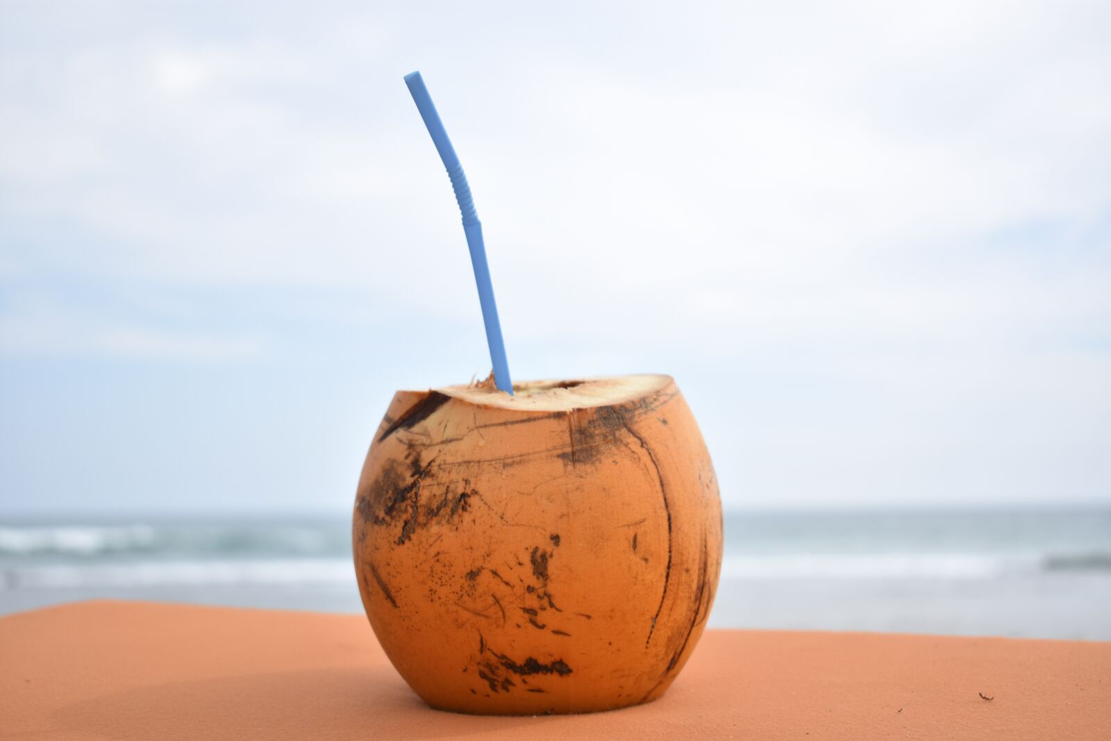 Nikon D3400 sample photo. Coconut, sea, beach photography