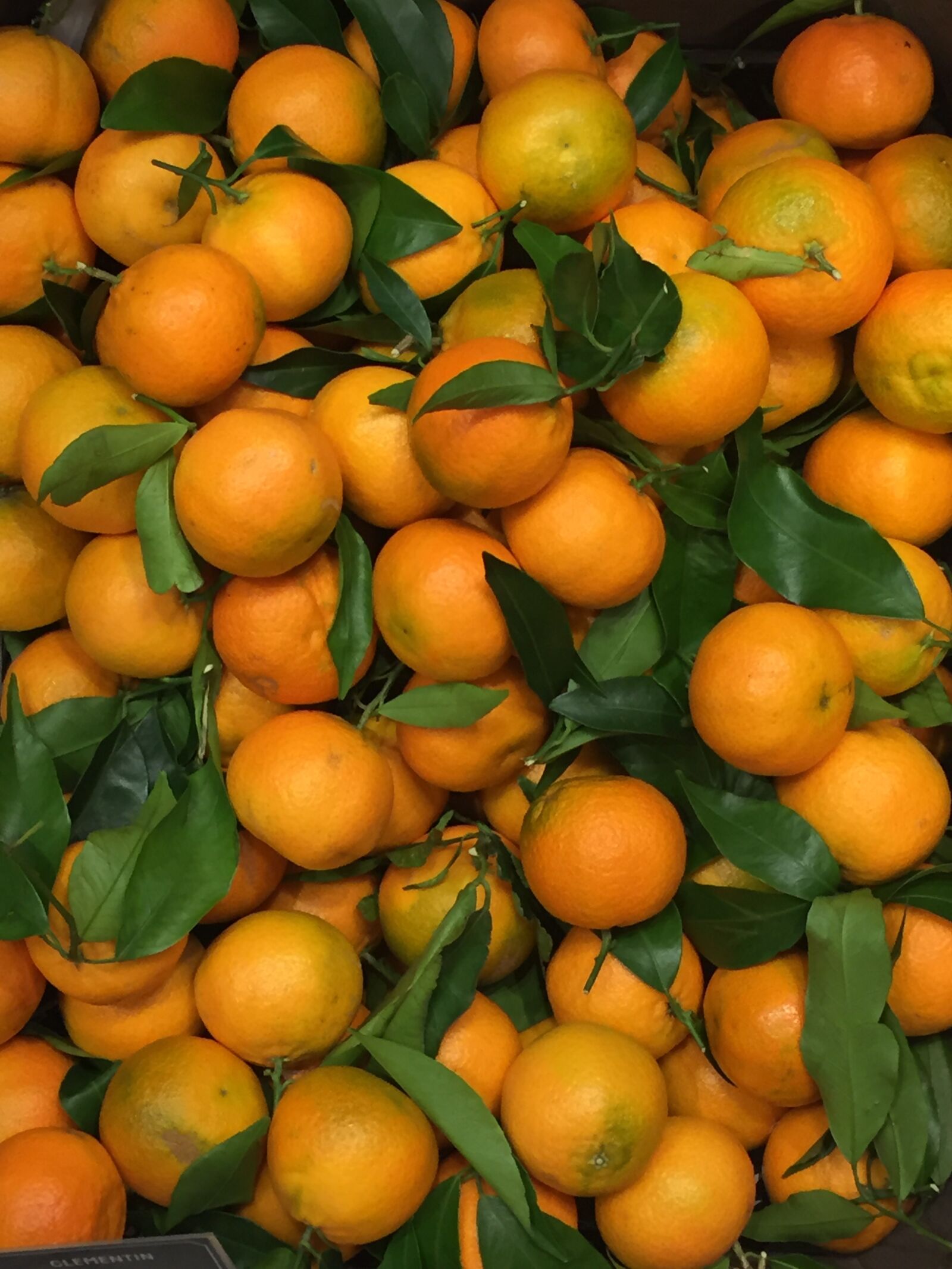 Apple iPhone 6 sample photo. Clementine, box, sturegallerian photography