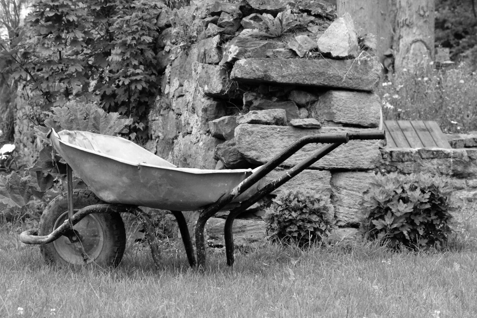 Nikon D5300 sample photo. Wheelbarrow, field, gite rural photography