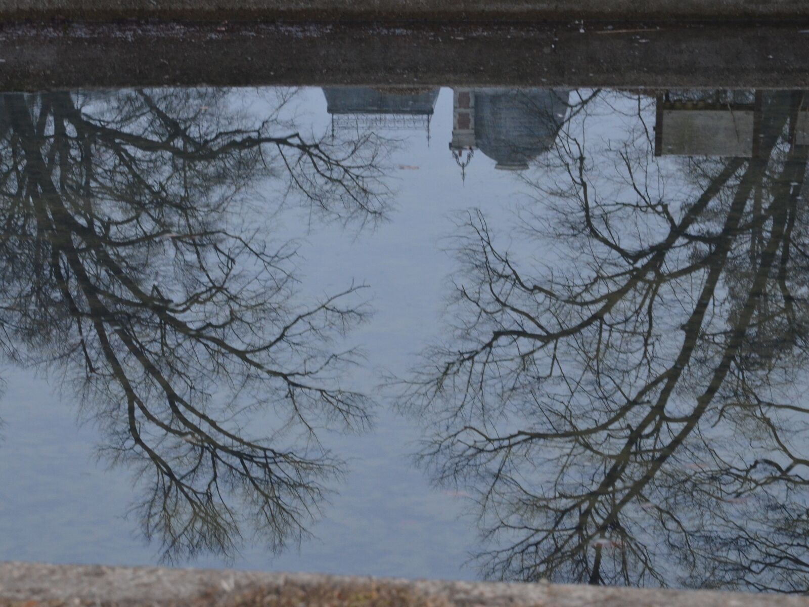 Nikon D5100 sample photo. Brasschaat, park, pond photography