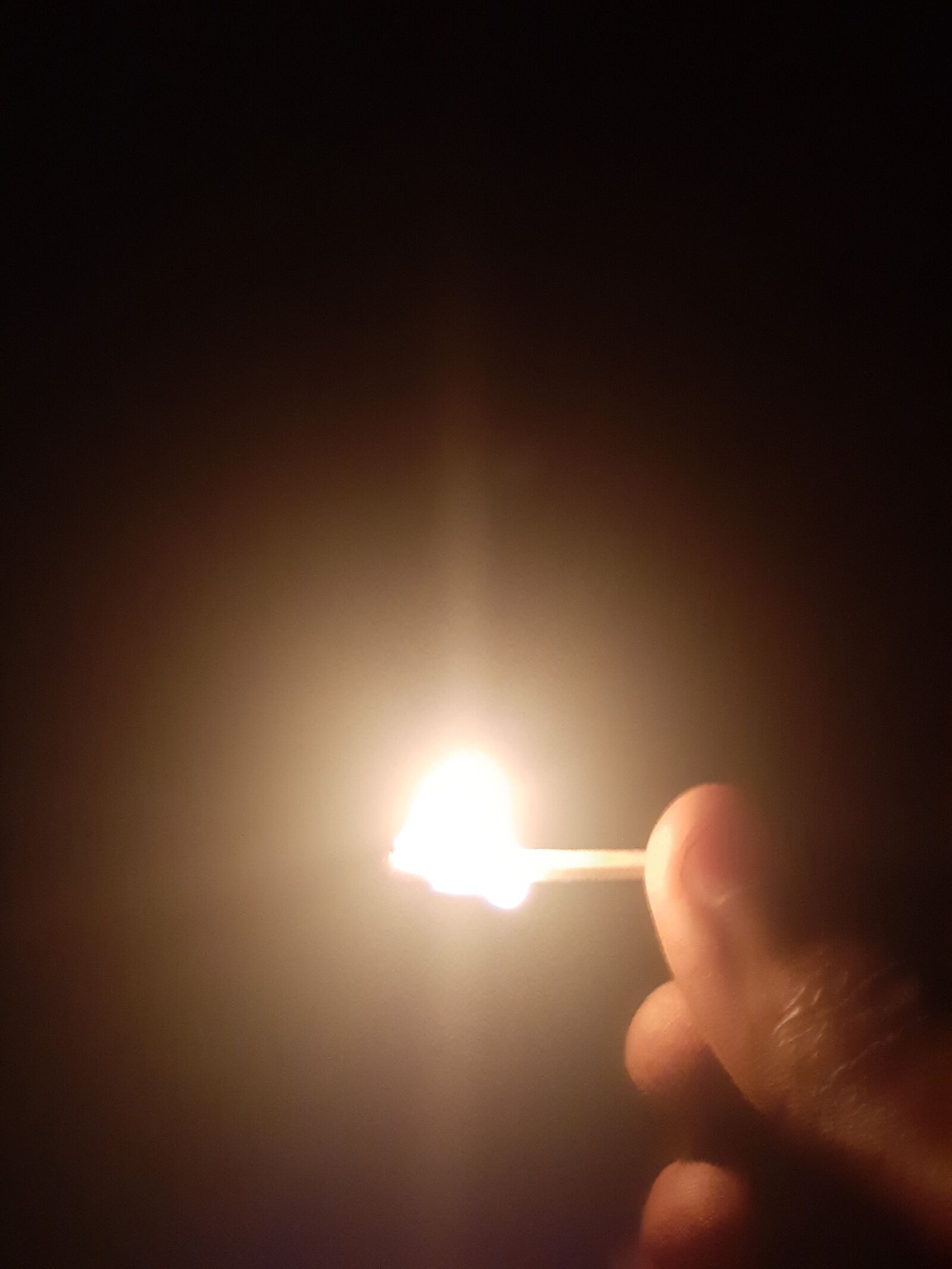 Samsung Galaxy A50 sample photo