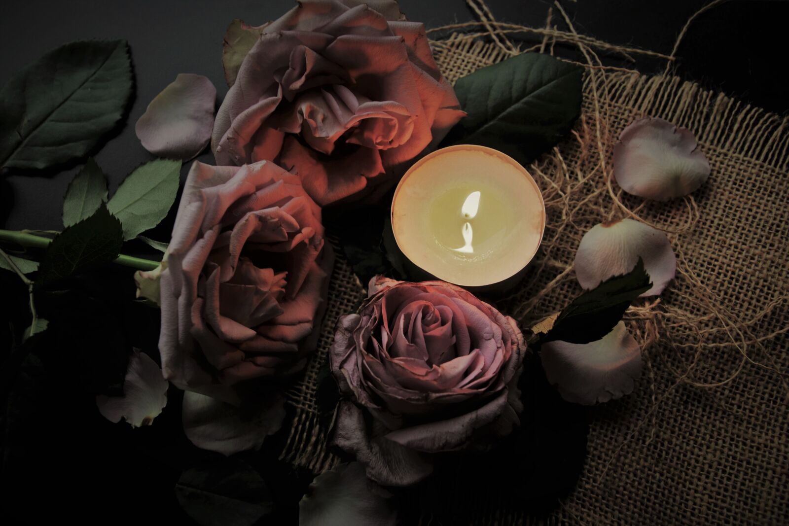 Canon EOS 80D sample photo. Candle, the flame, light photography