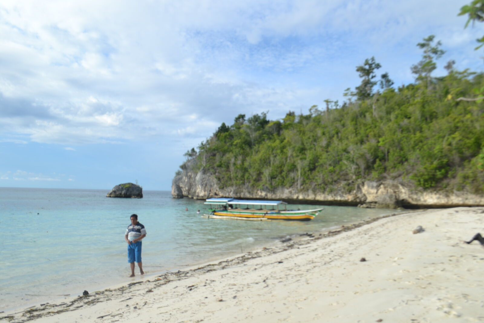 Nikon D3100 sample photo