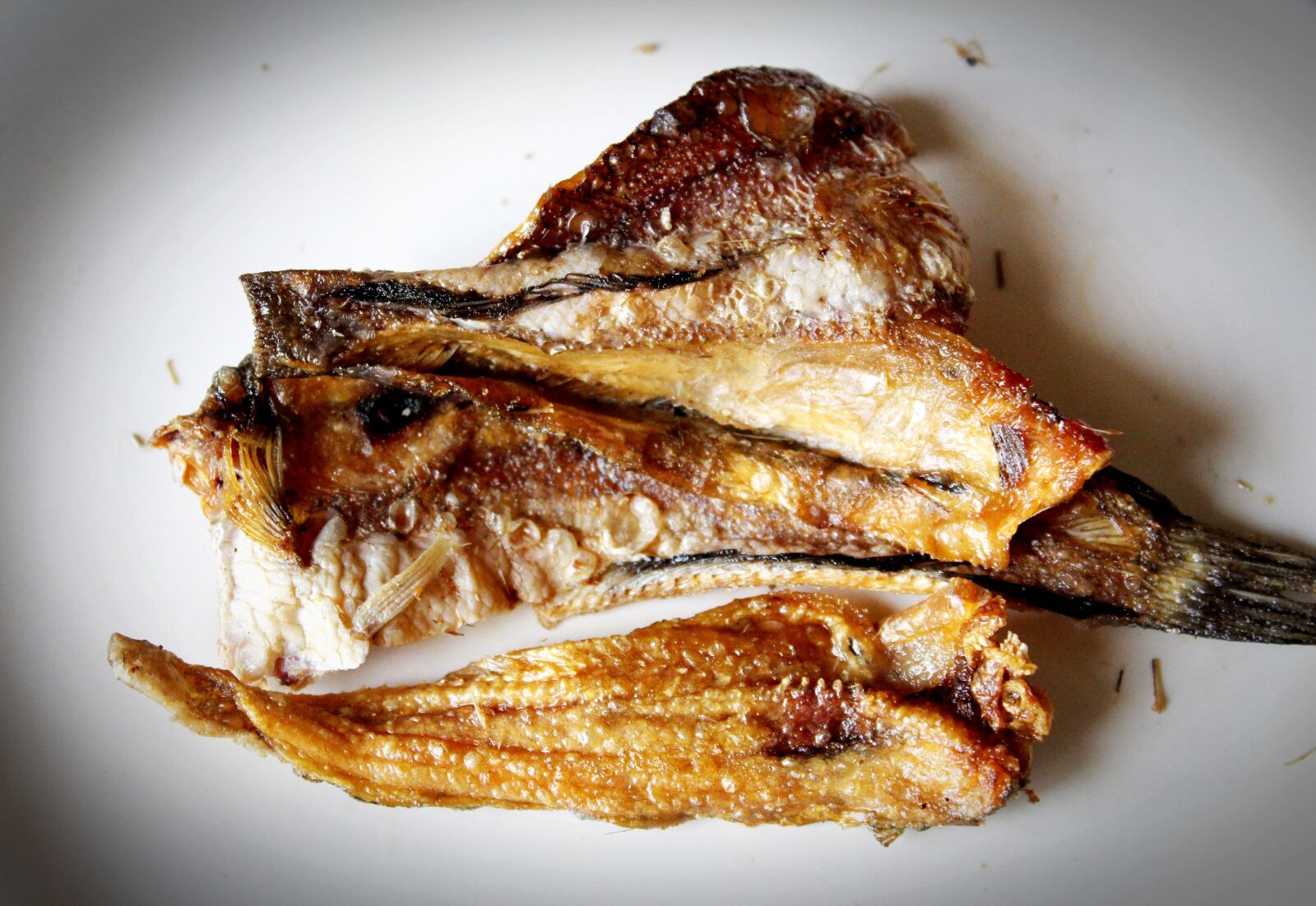 Canon EOS 650D (EOS Rebel T4i / EOS Kiss X6i) sample photo. Baked, course, fish photography