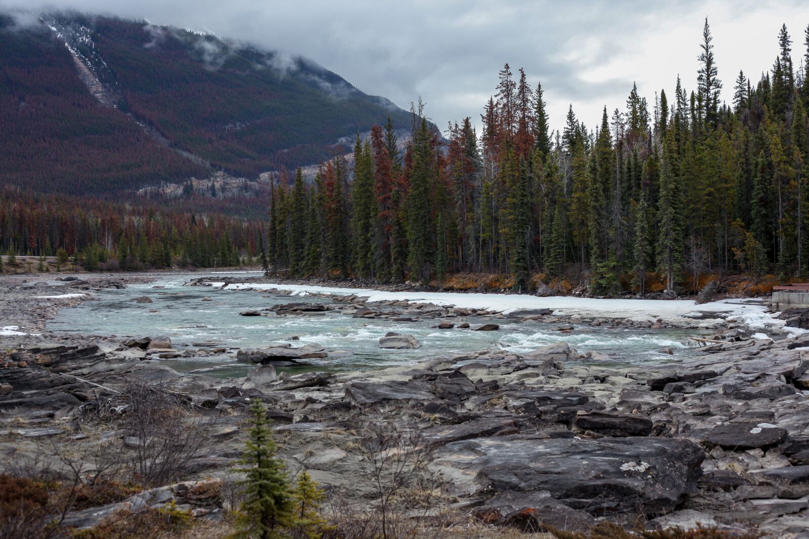 Canon EOS 5D Mark II sample photo. Athabasca falls, the athabasca photography
