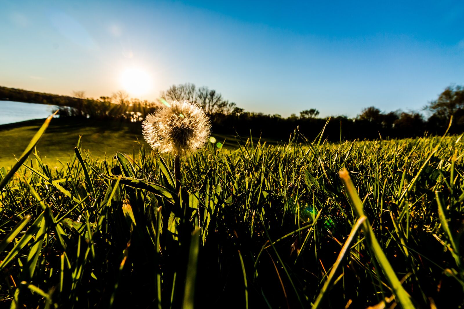 Canon EOS 70D + Canon EF-S 10-18mm F4.5–5.6 IS STM sample photo. Field, green, landscape photography