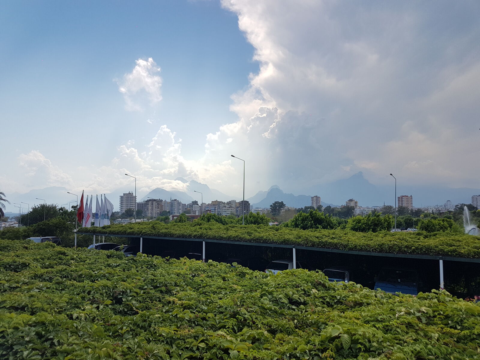 Samsung Galaxy S7 Edge sample photo