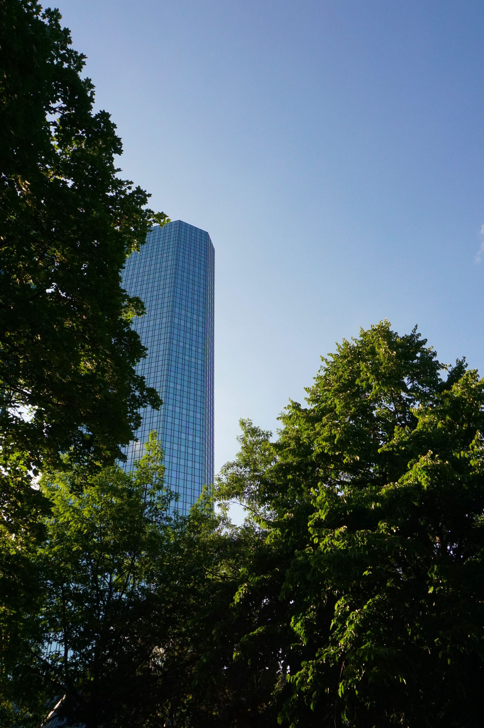 Sony a6000 sample photo. Skyscraper, urban, office building photography