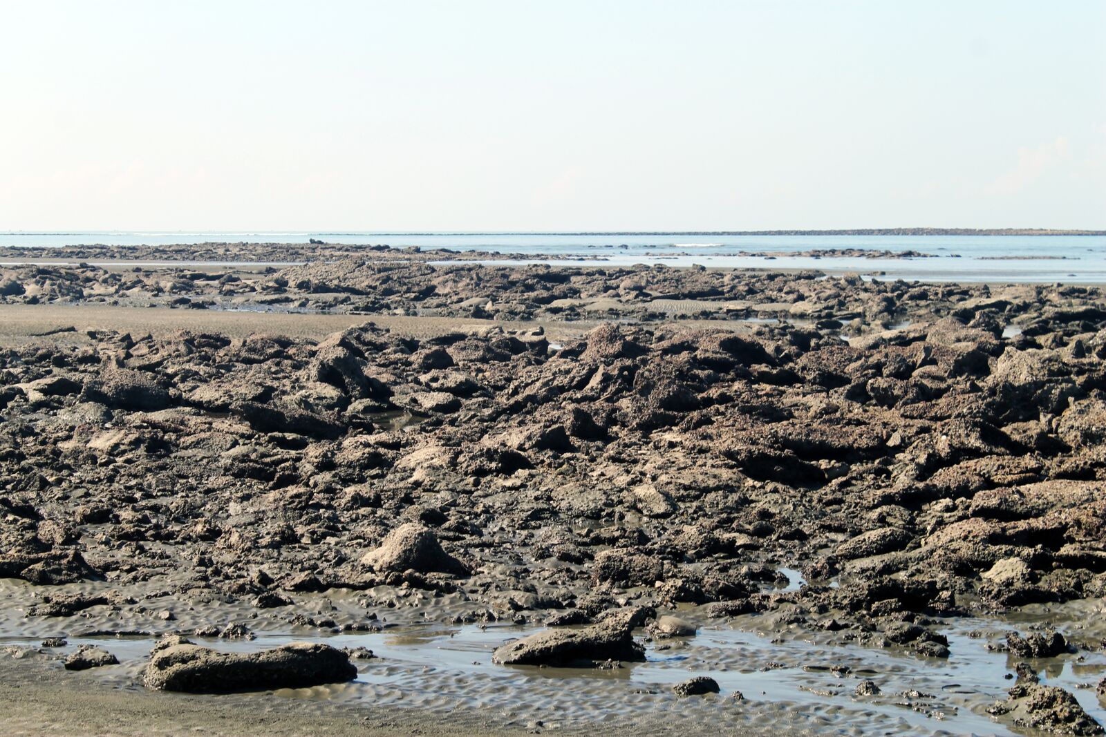 Caricatore USB Per Batteria Canon LP-E10 - Con Display LCD, Per EOS 1100D, 1200D, Rebel T3