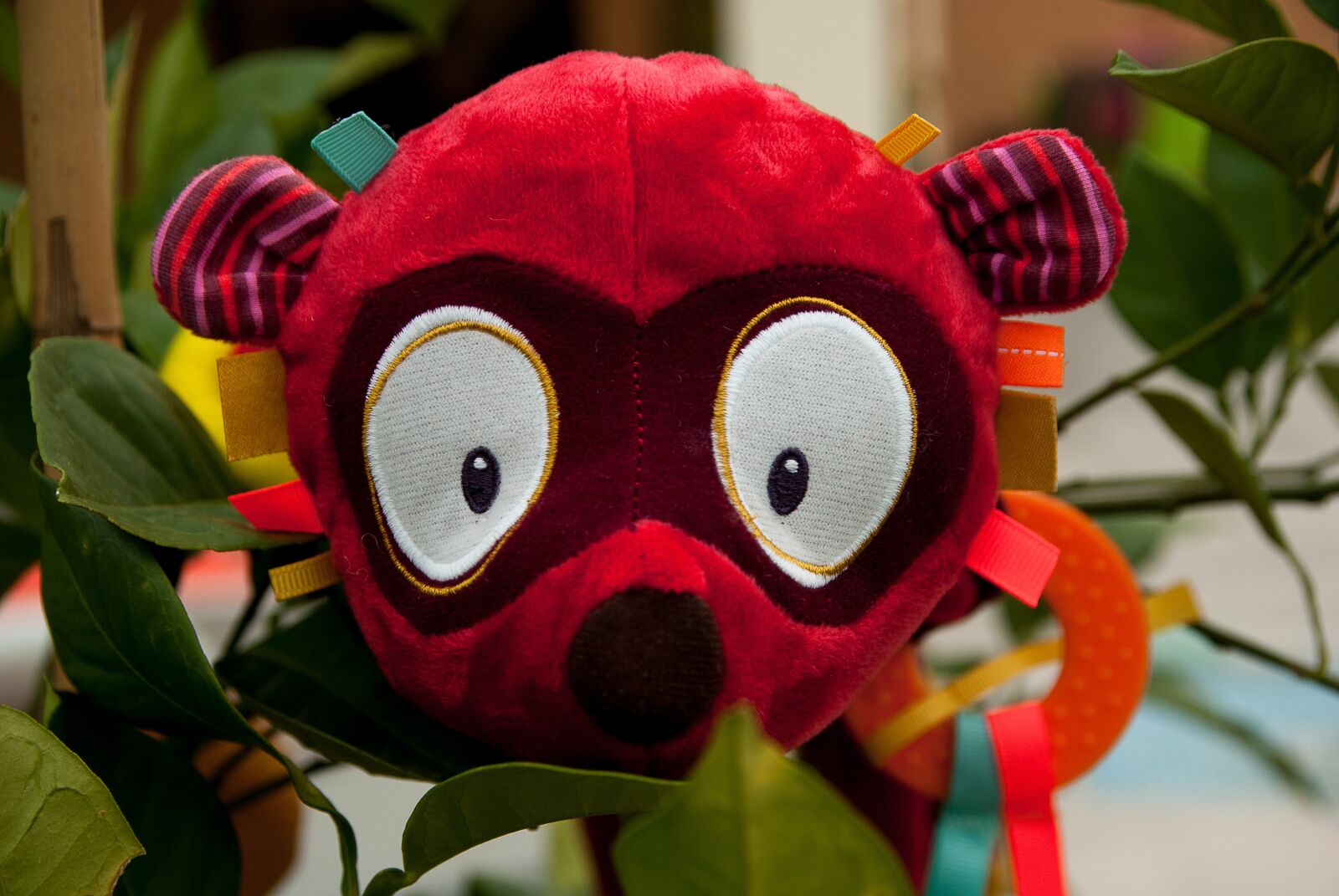 Pentax K10D sample photo. Lemur, plush, toy photography