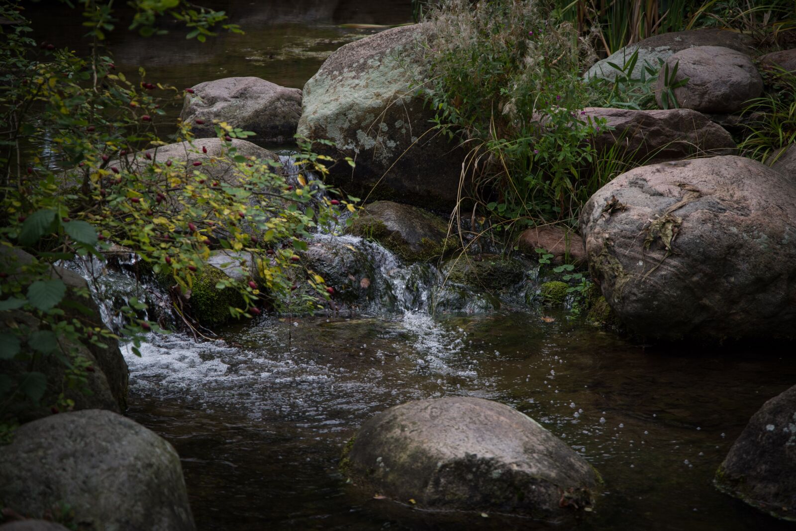 Pentax K-1 Mark II sample photo. Stone, bach, creek photography