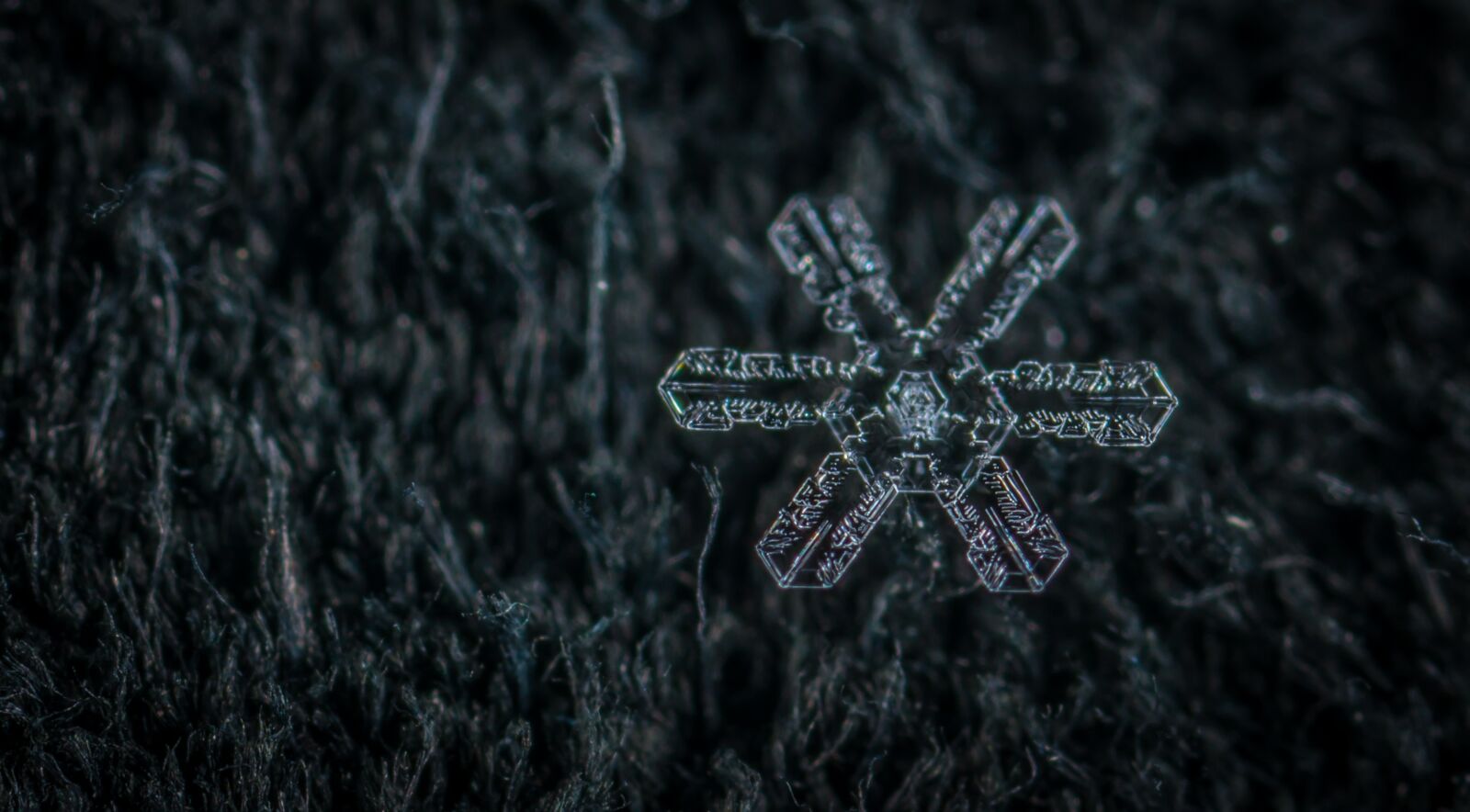 #124 65/2.8 sample photo. Snow, macro, snowflake photography