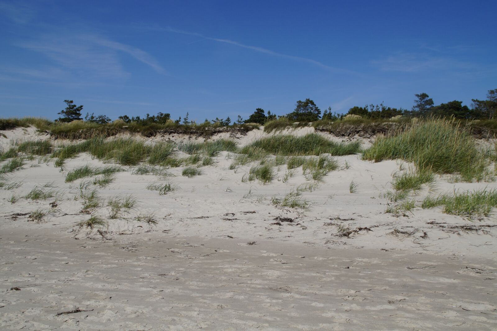 Sony SLT-A58 sample photo. Dune, dune landscape, grasses photography