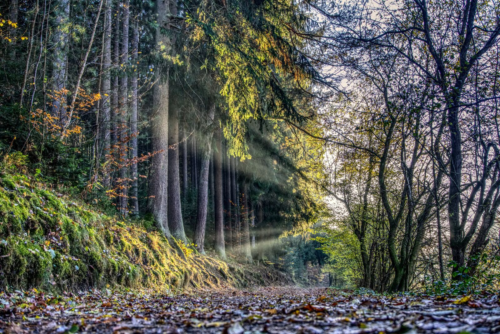 Sony a6000 sample photo. Sun, rays, sunset photography