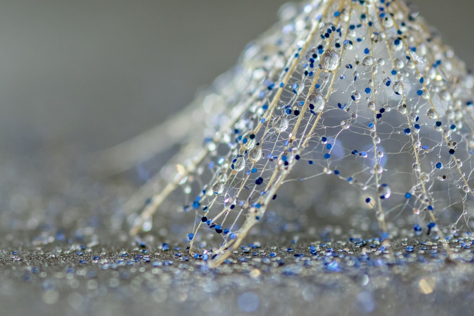 Canon EOS 7D Mark II sample photo. Dandelion, glitter, dew photography