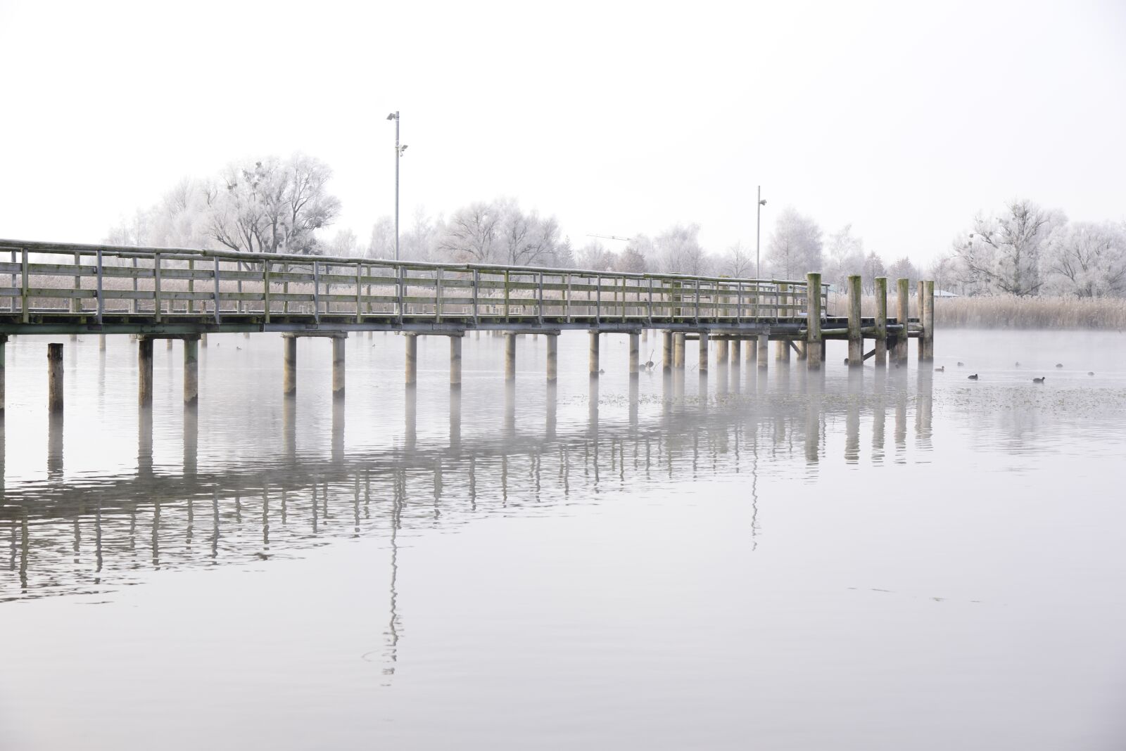 Nikon D610 sample photo. Jetty, ship jetty, piers photography