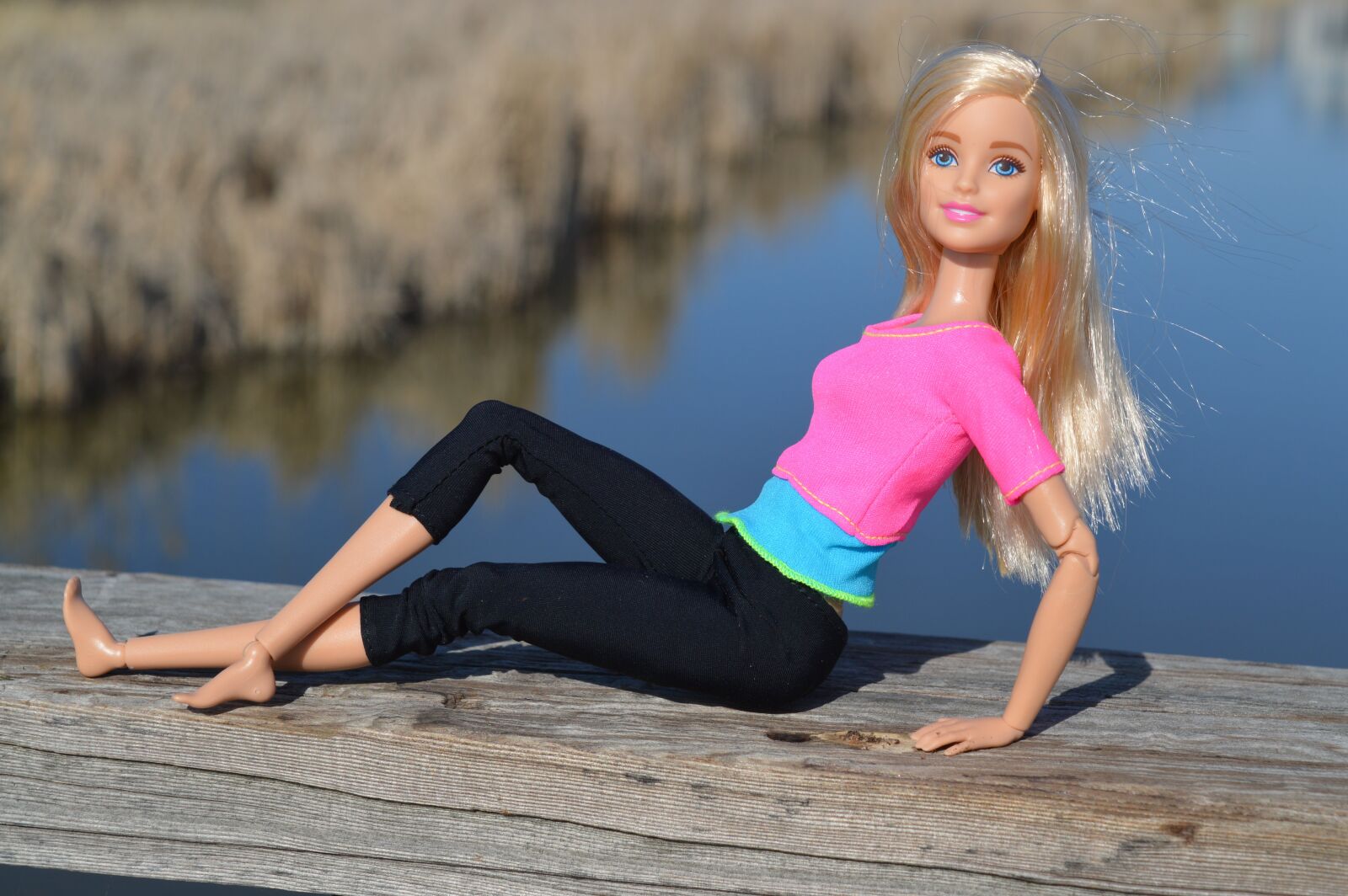 Nikon D3200 sample photo. Barbie, doll, posing photography