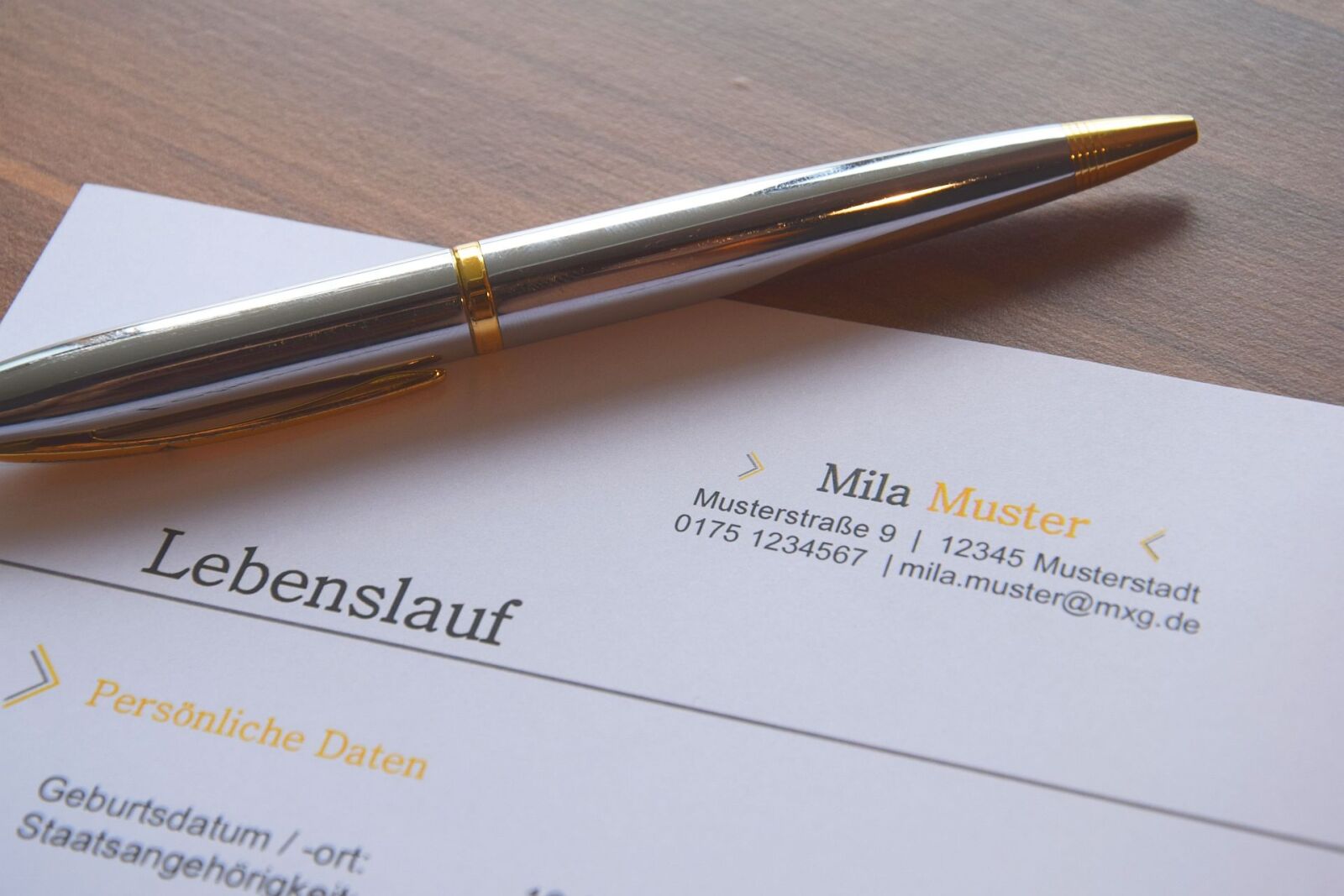 Nikon D5300 sample photo. Application, cover letter, curriculum photography