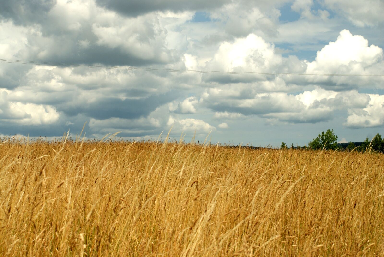 Sony Alpha DSLR-A200 sample photo. Meadow, the ecclesia, landscape photography