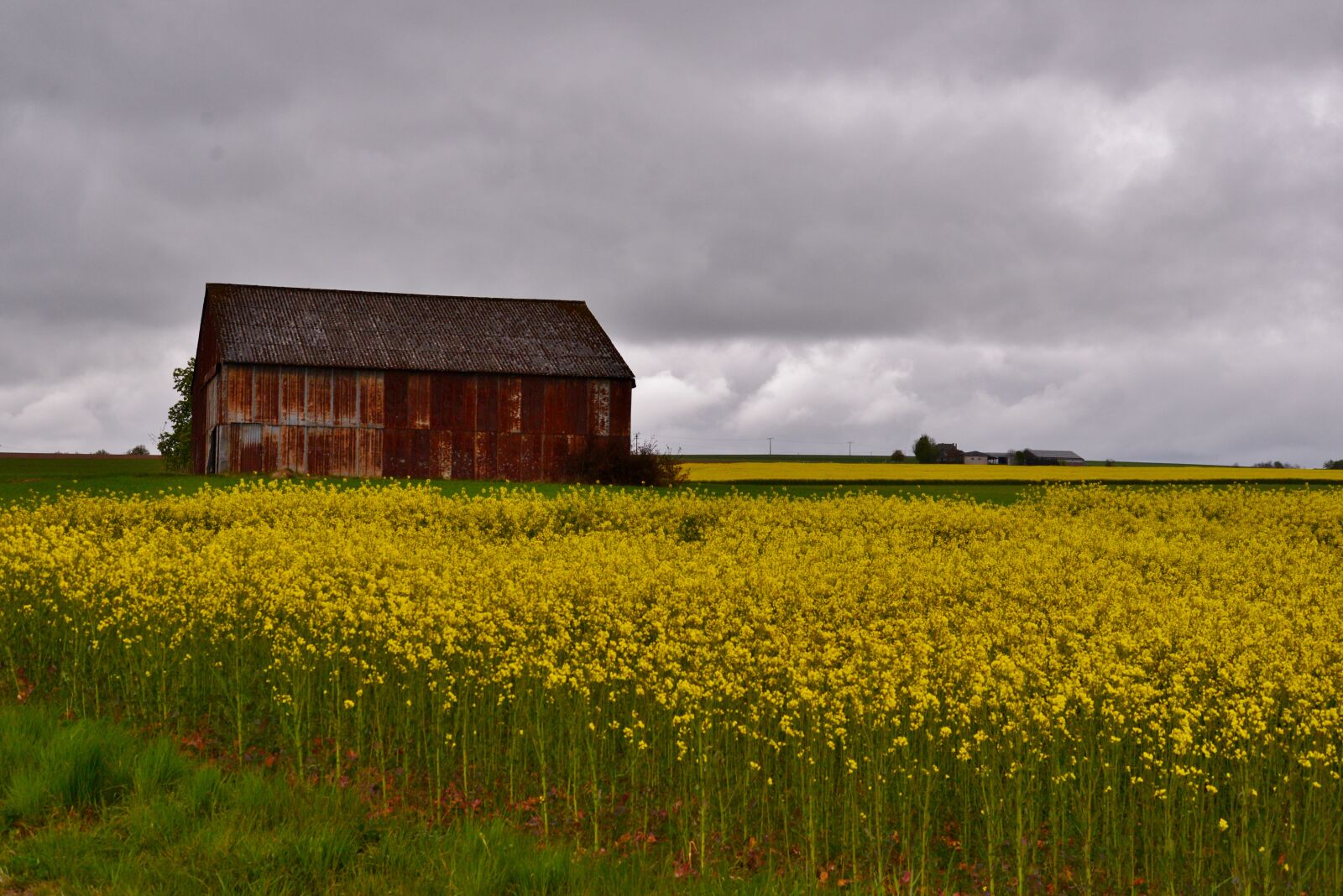 Nikon D600 sample photo. Barn, rapeseed, clouds photography