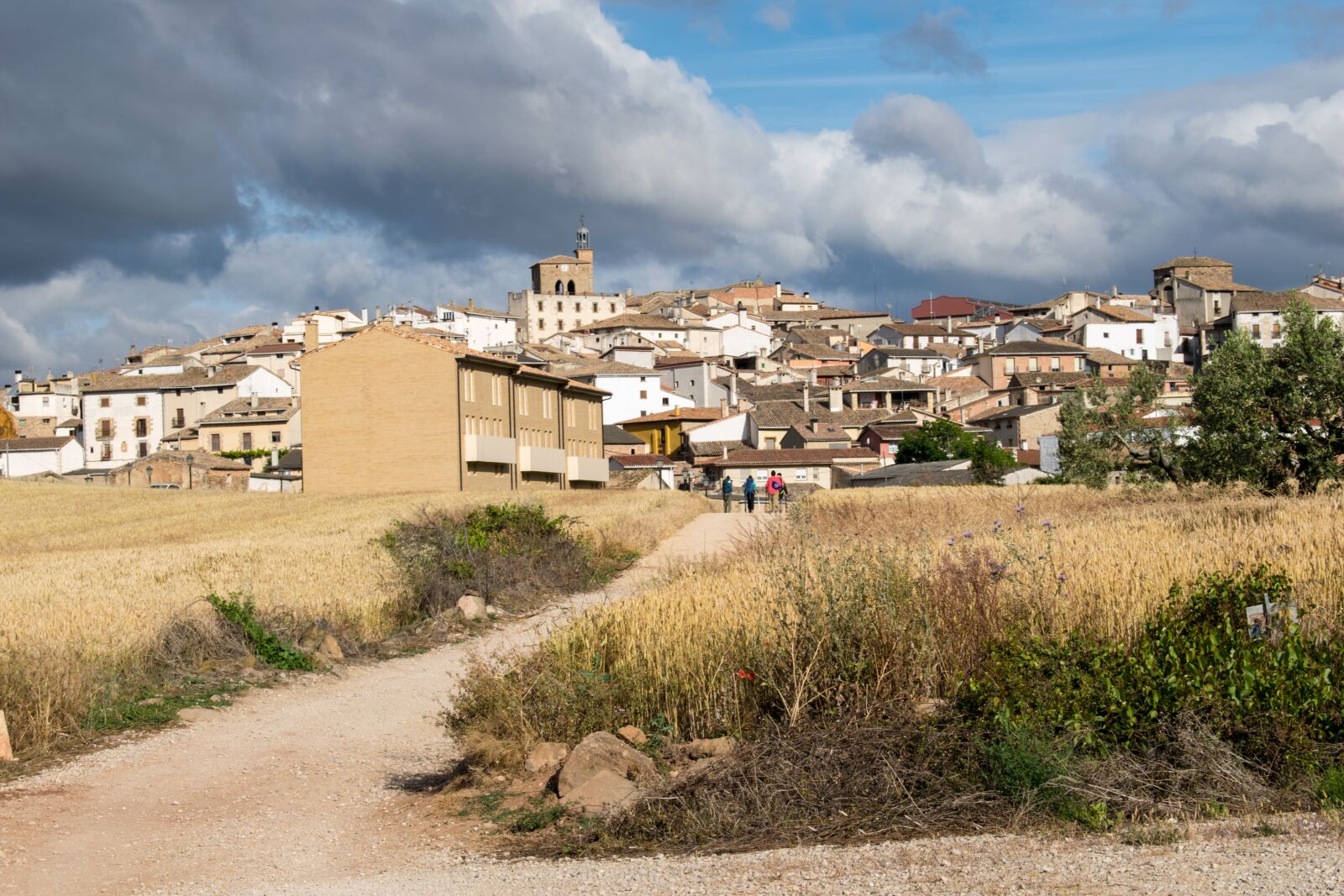 Nikon D3300 sample photo. France, spain, santiago path photography