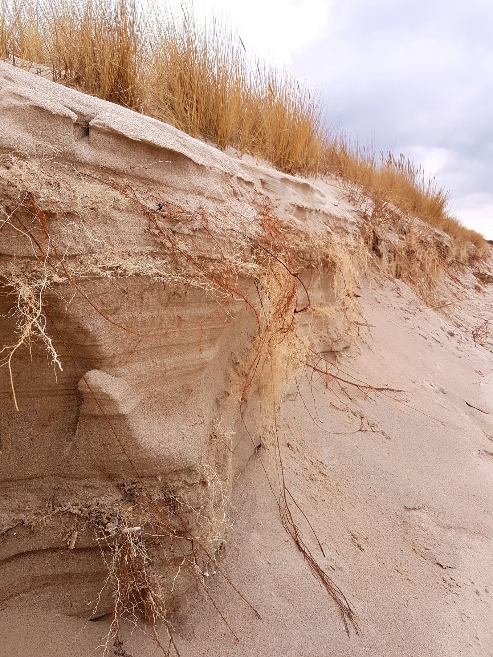 Samsung Galaxy S7 Edge sample photo. Murals, sea, sand photography