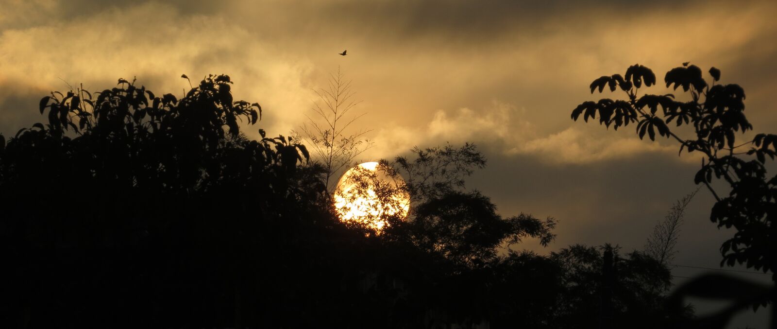 Canon PowerShot SX50 HS sample photo. Nature, sunset, panoramic photography