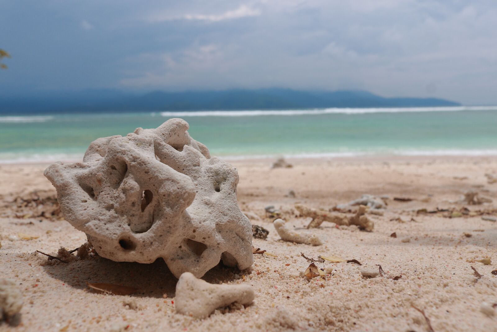 Canon EOS 750D (EOS Rebel T6i / EOS Kiss X8i) sample photo. Beach, coral, nature photography