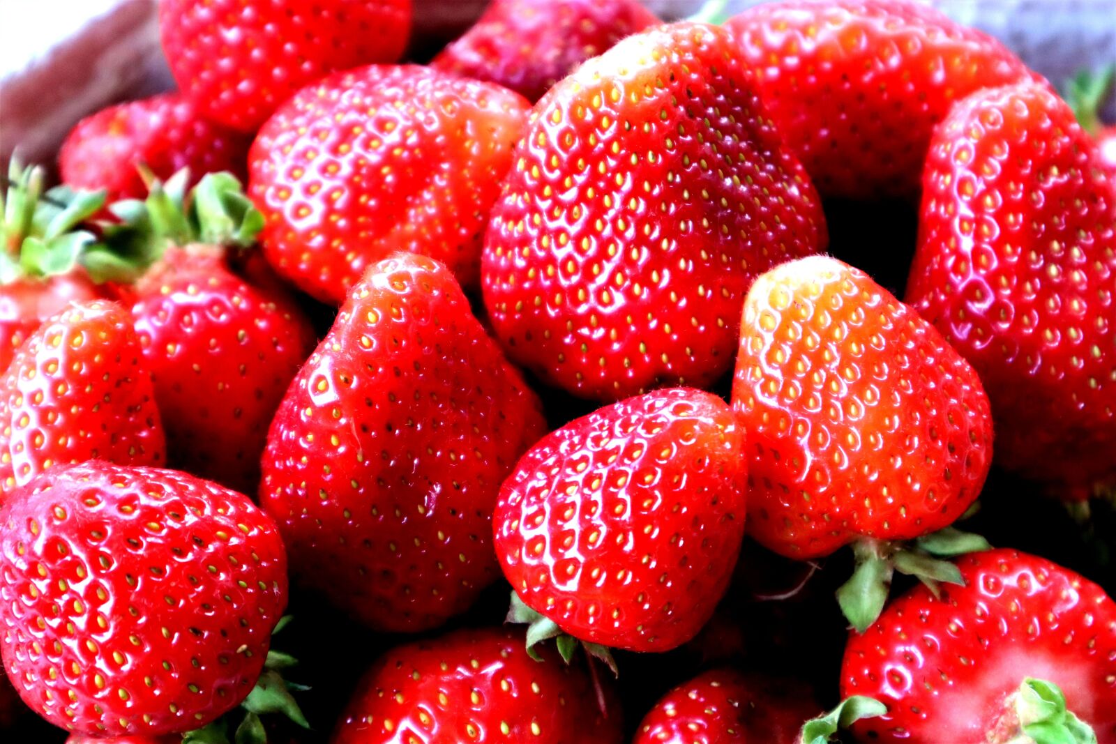 Canon EOS M50 (EOS Kiss M) sample photo. Strawberry, fruit, red photography